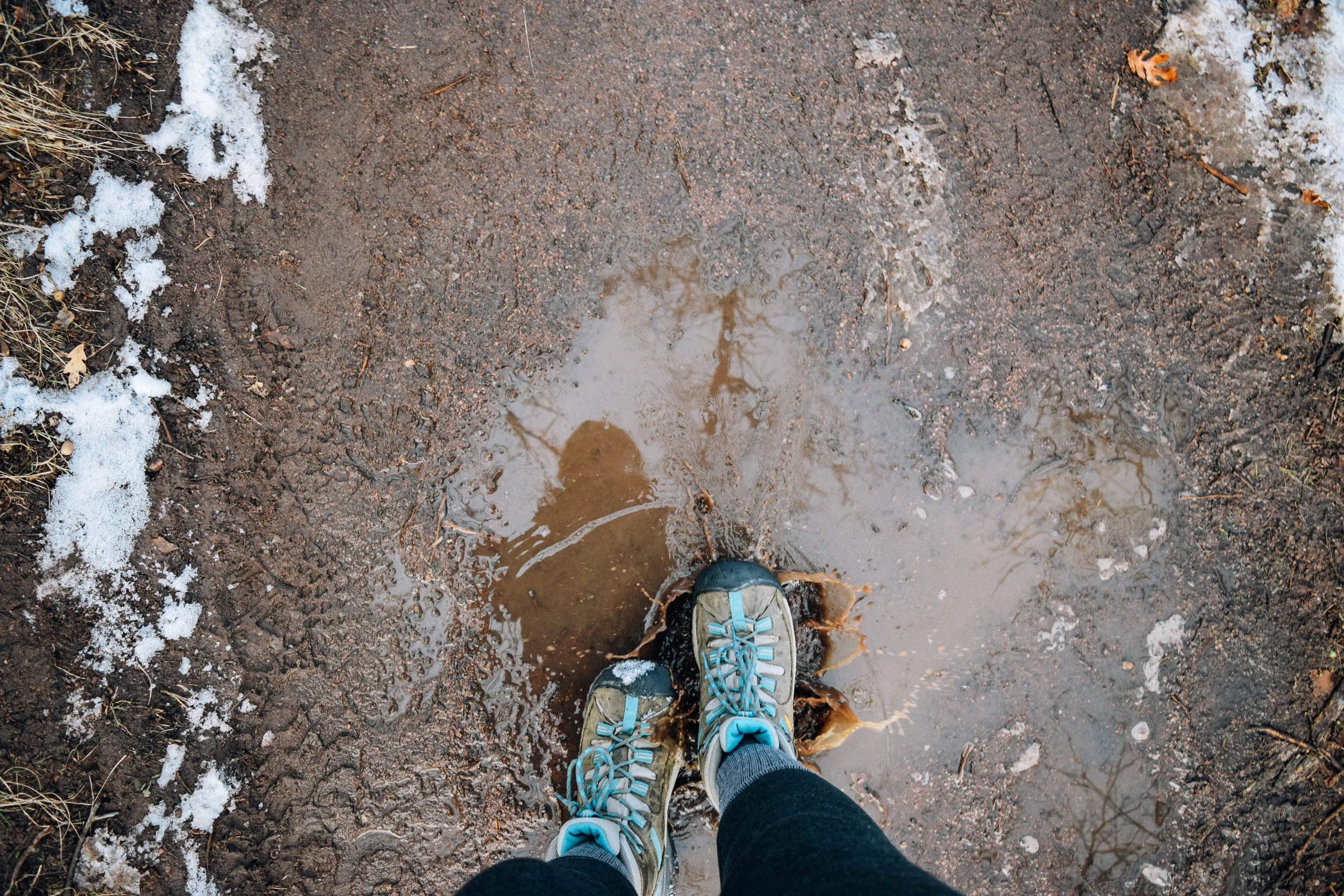Roxborough State Park