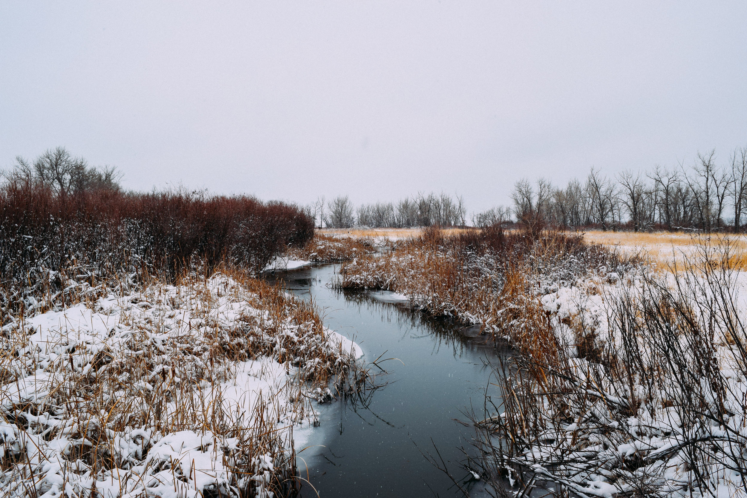 Cherry Creek Wanderings