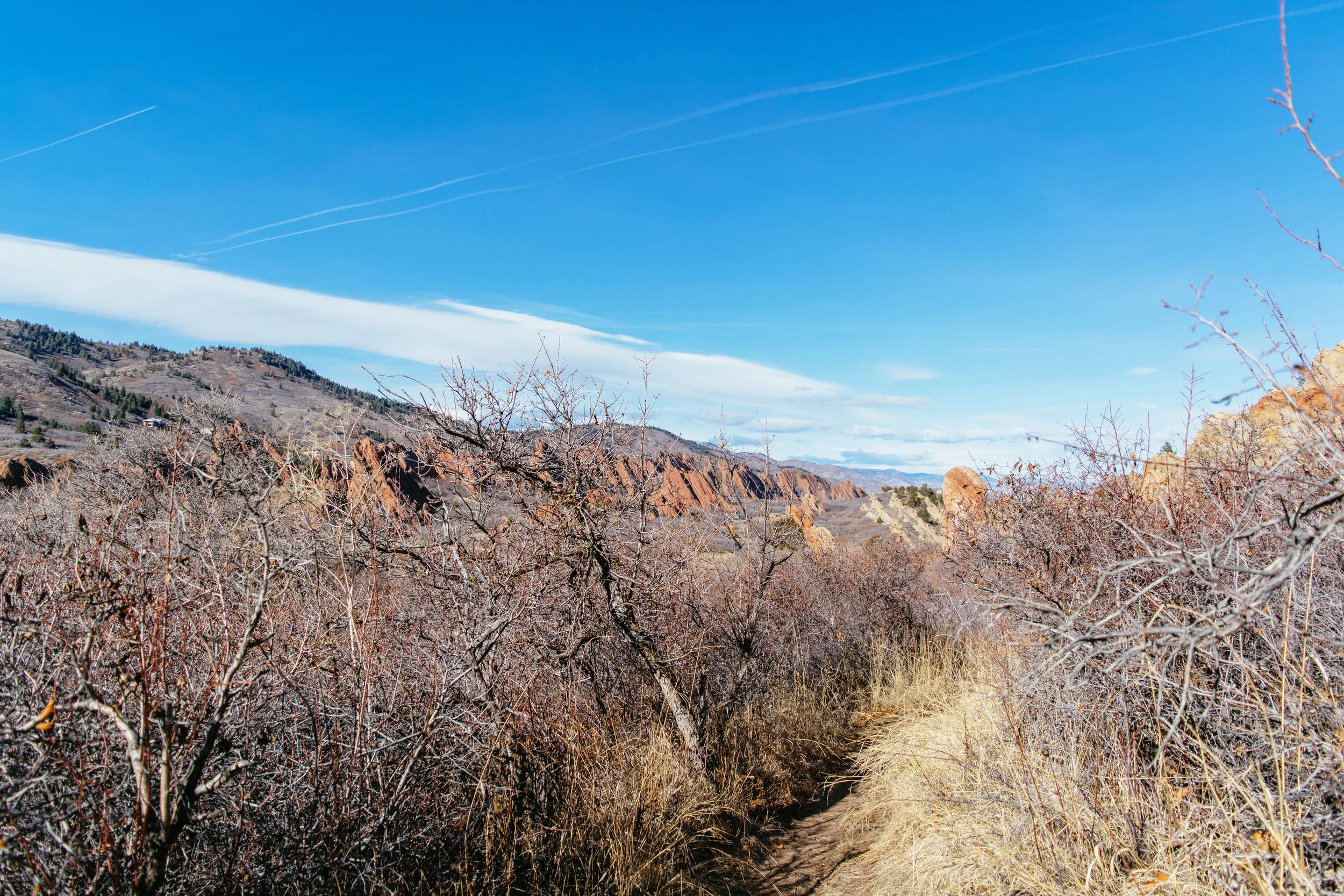south rim-21.jpg