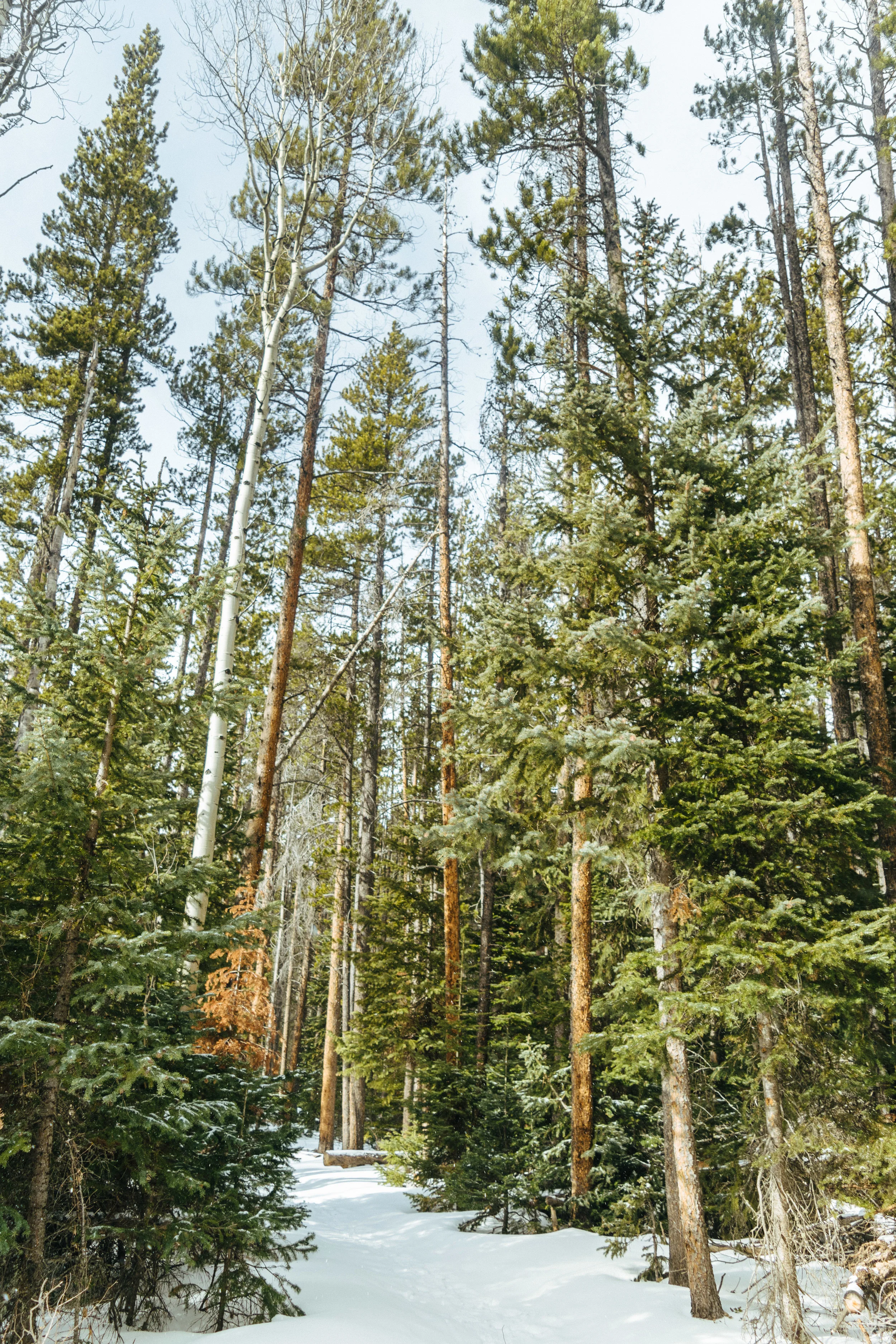 cascades-36.jpg