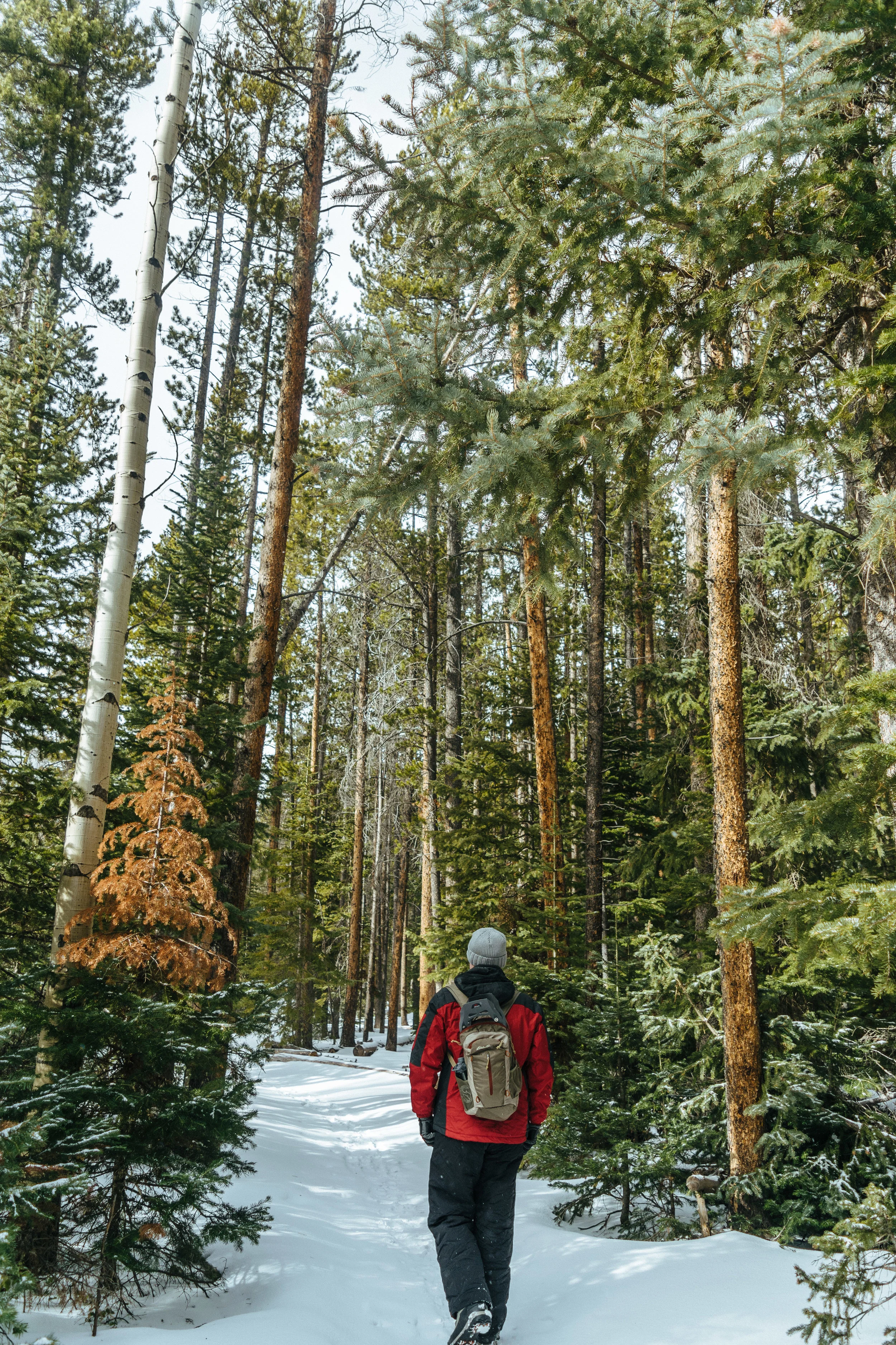 cascades-42.jpg
