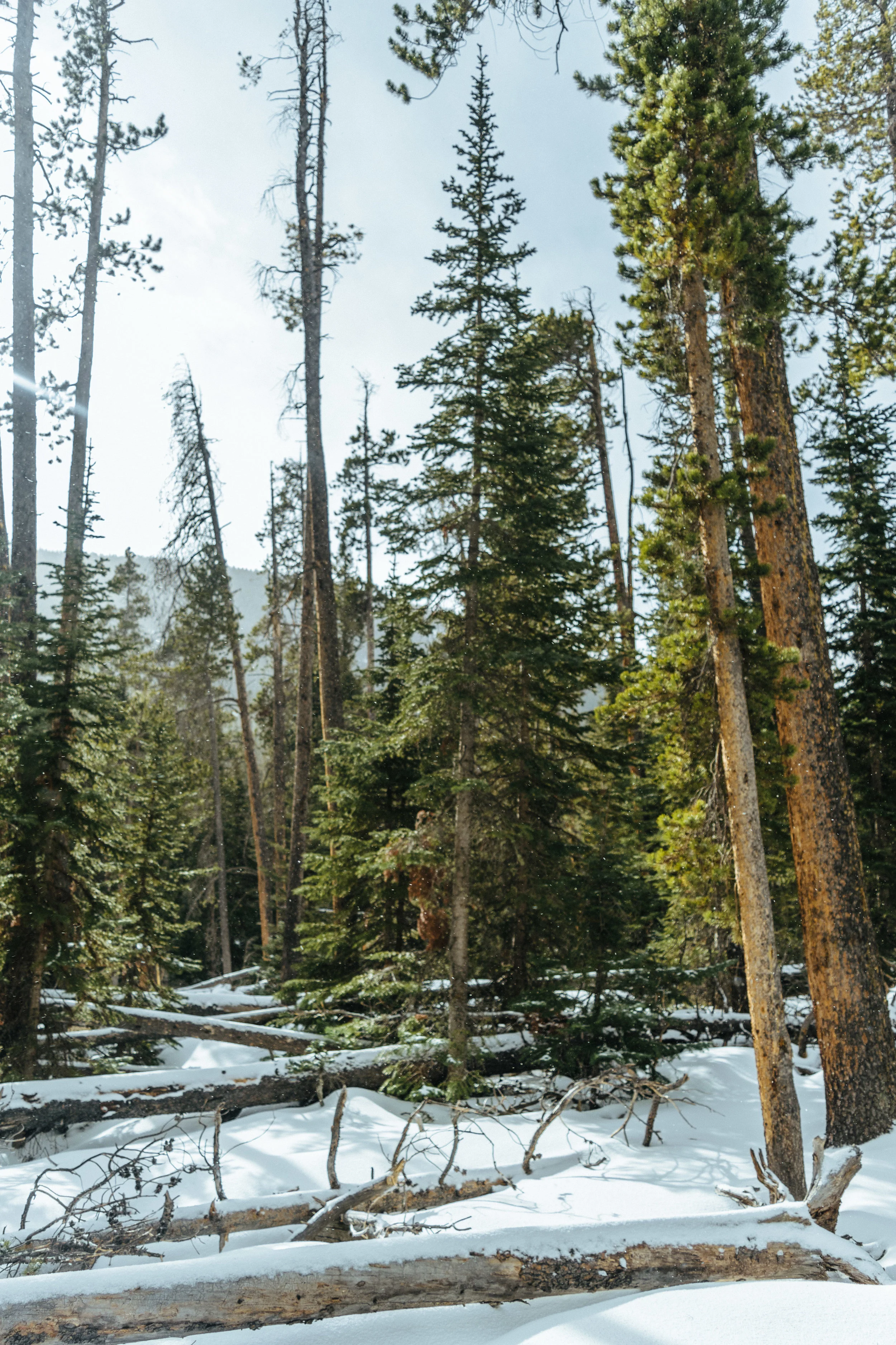 cascades-47.jpg