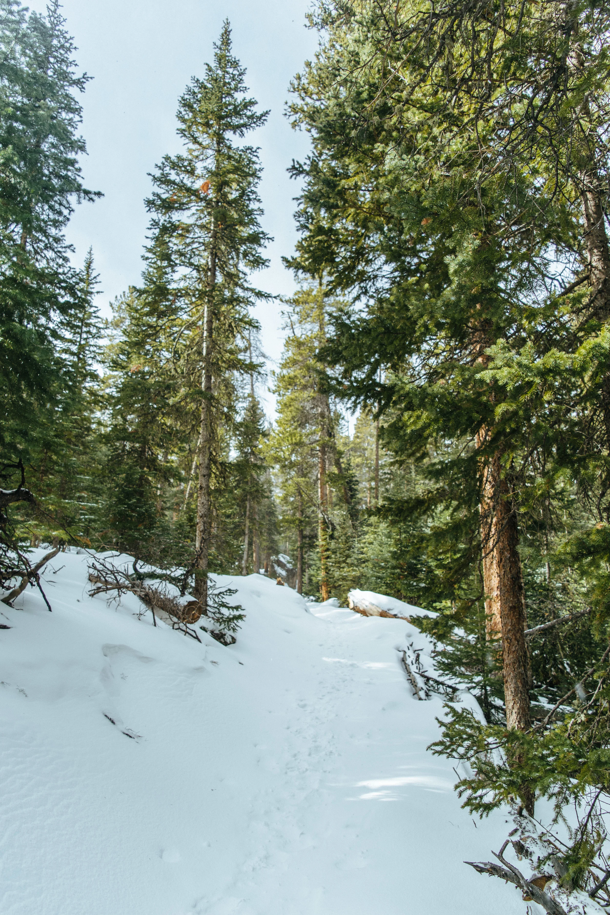 cascades-53.jpg