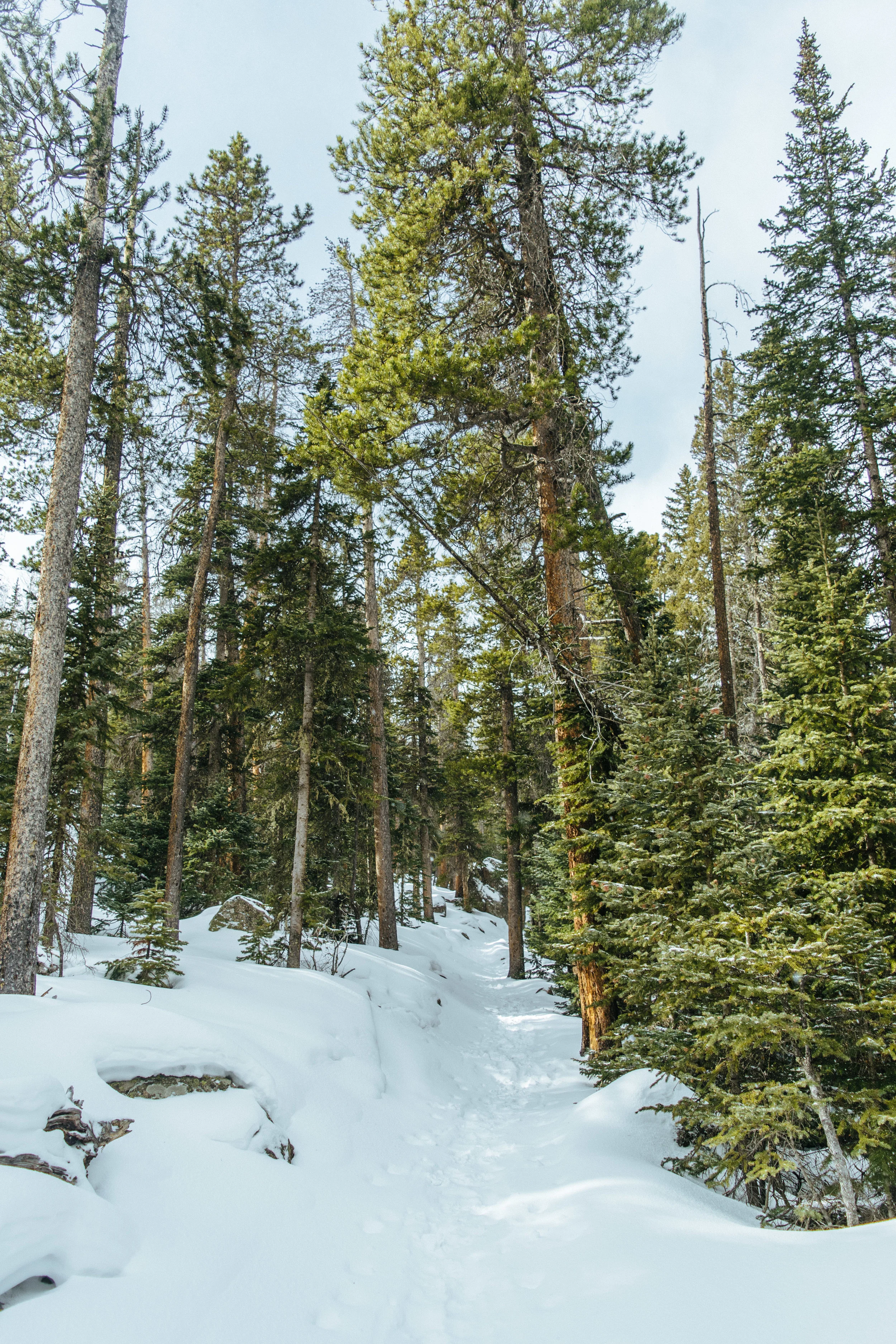 cascades-54.jpg