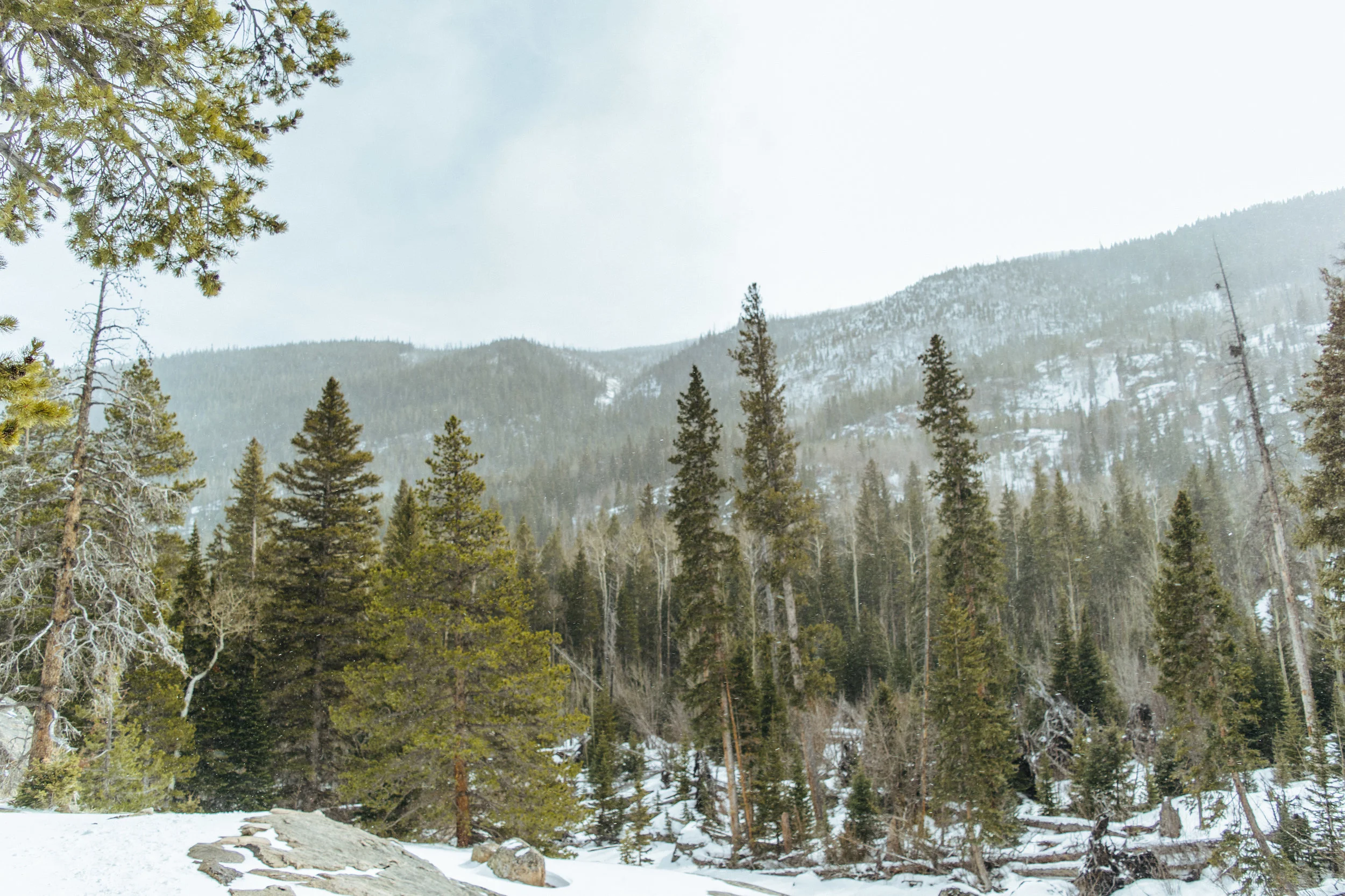 cascades-80.jpg
