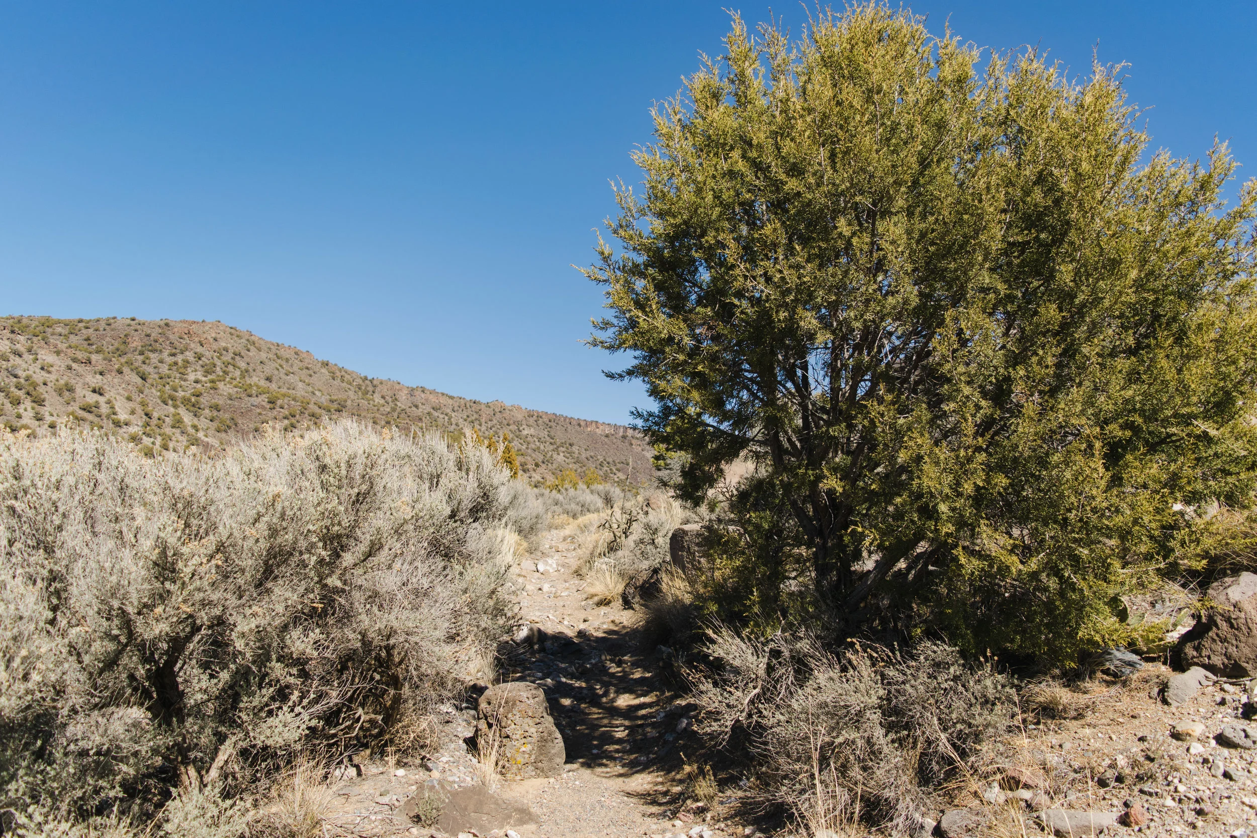 taos-29.jpg