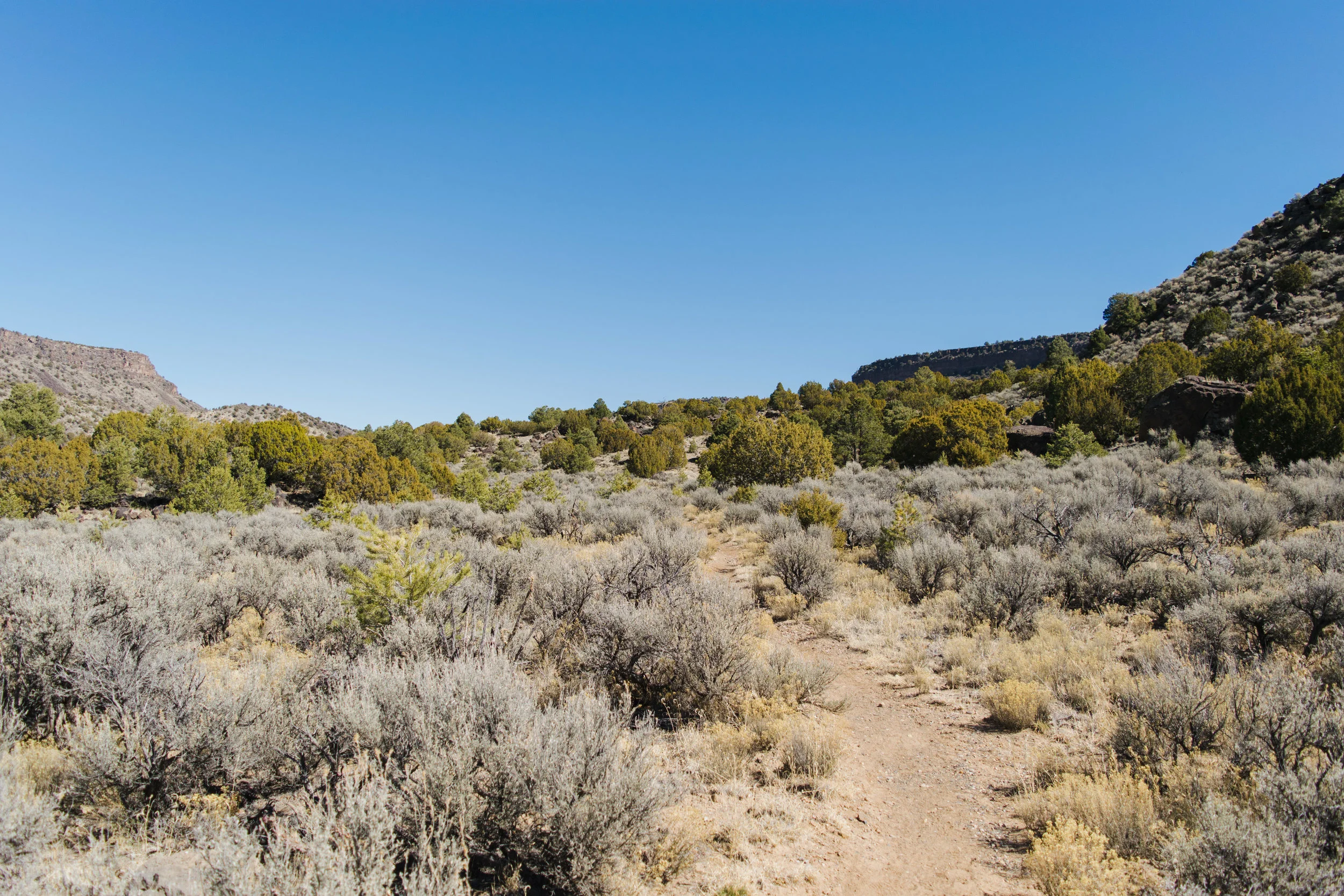 taos-34.jpg