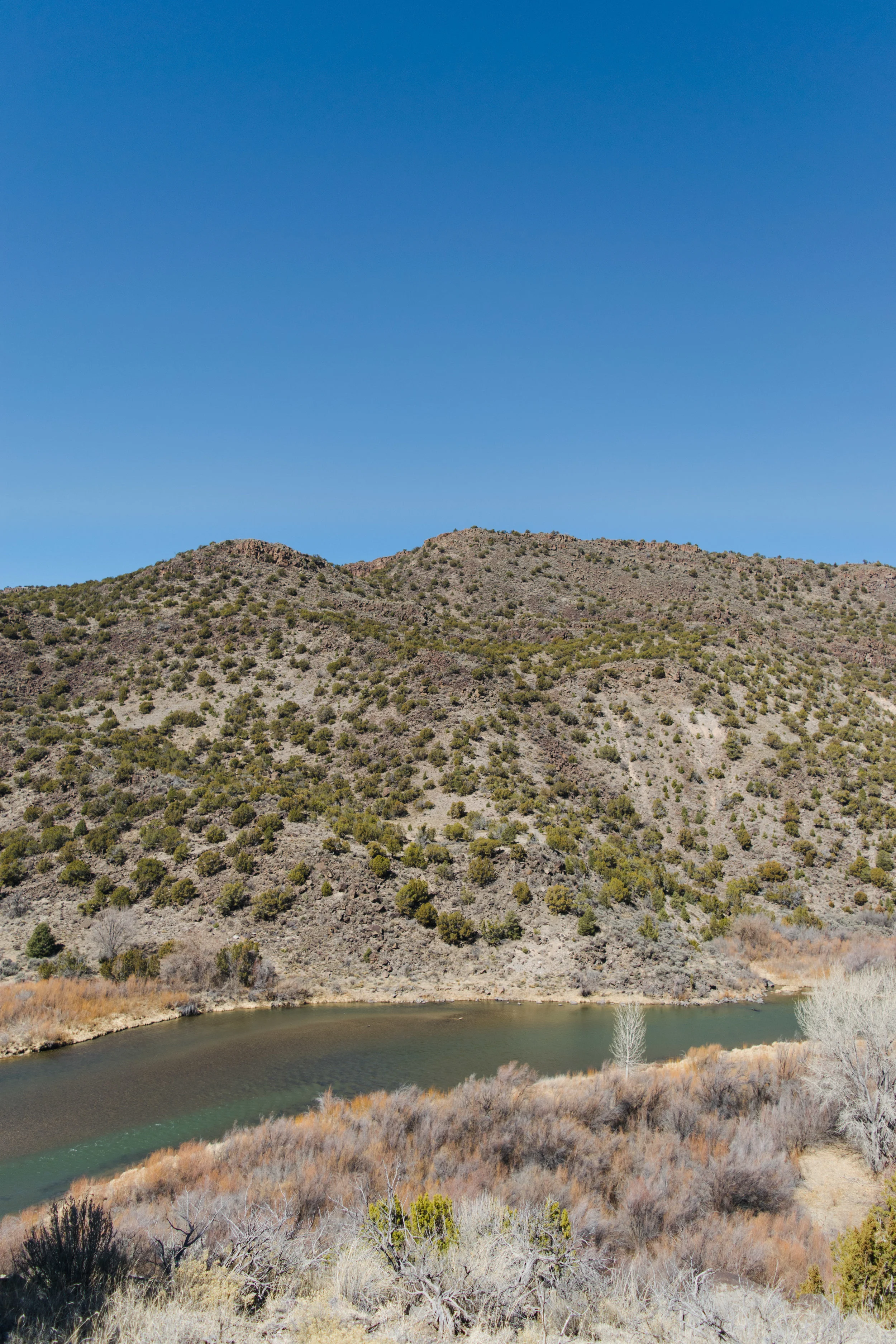 taos-38.jpg