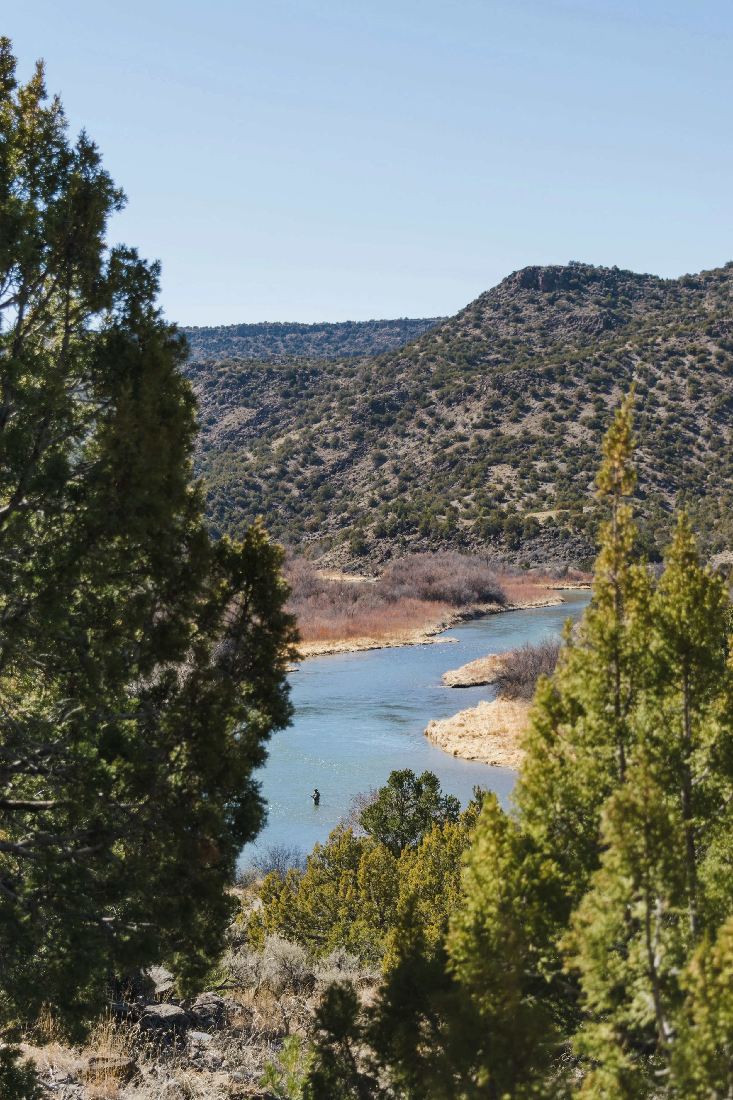 taos-52.jpg