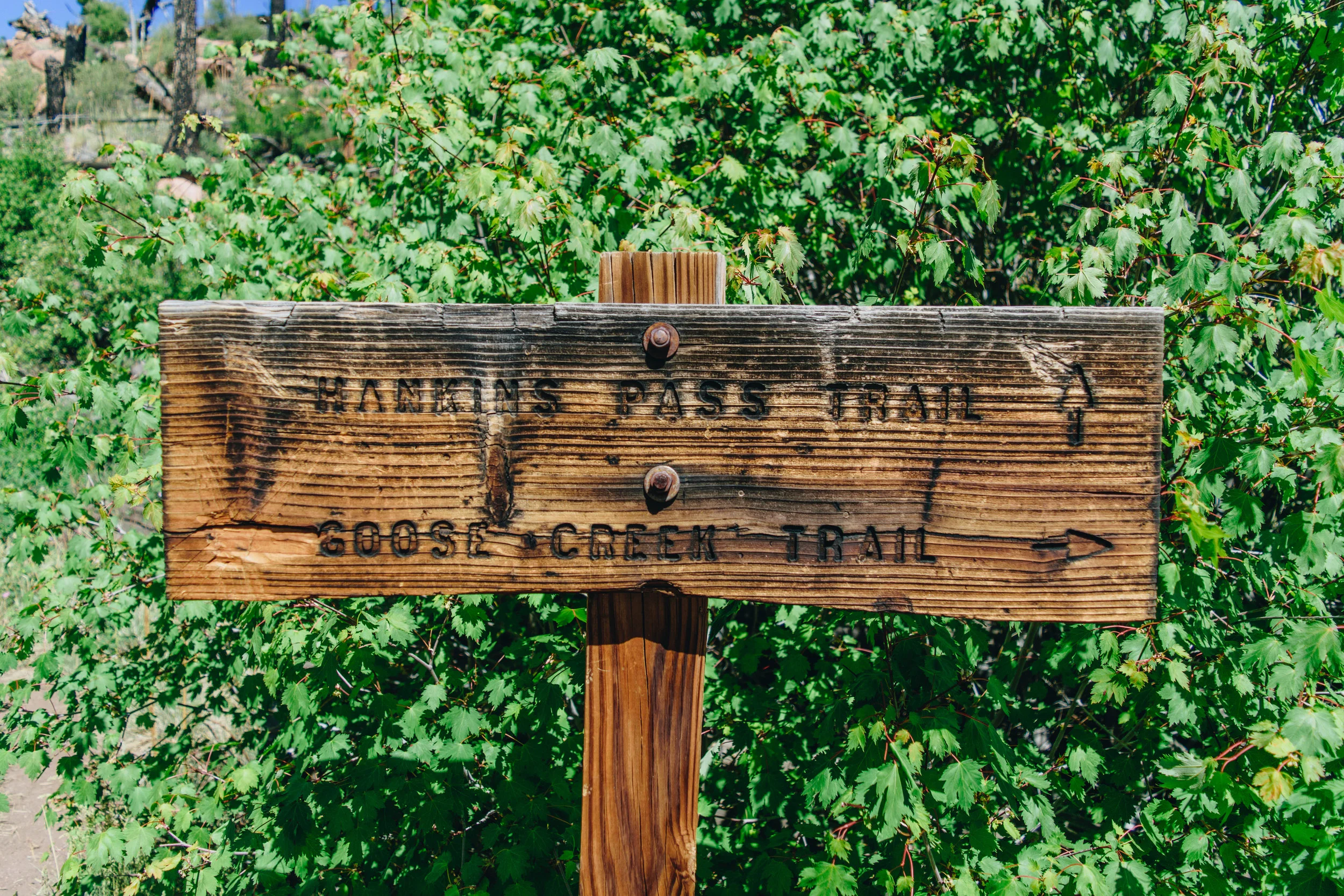 backpacking-15.jpg