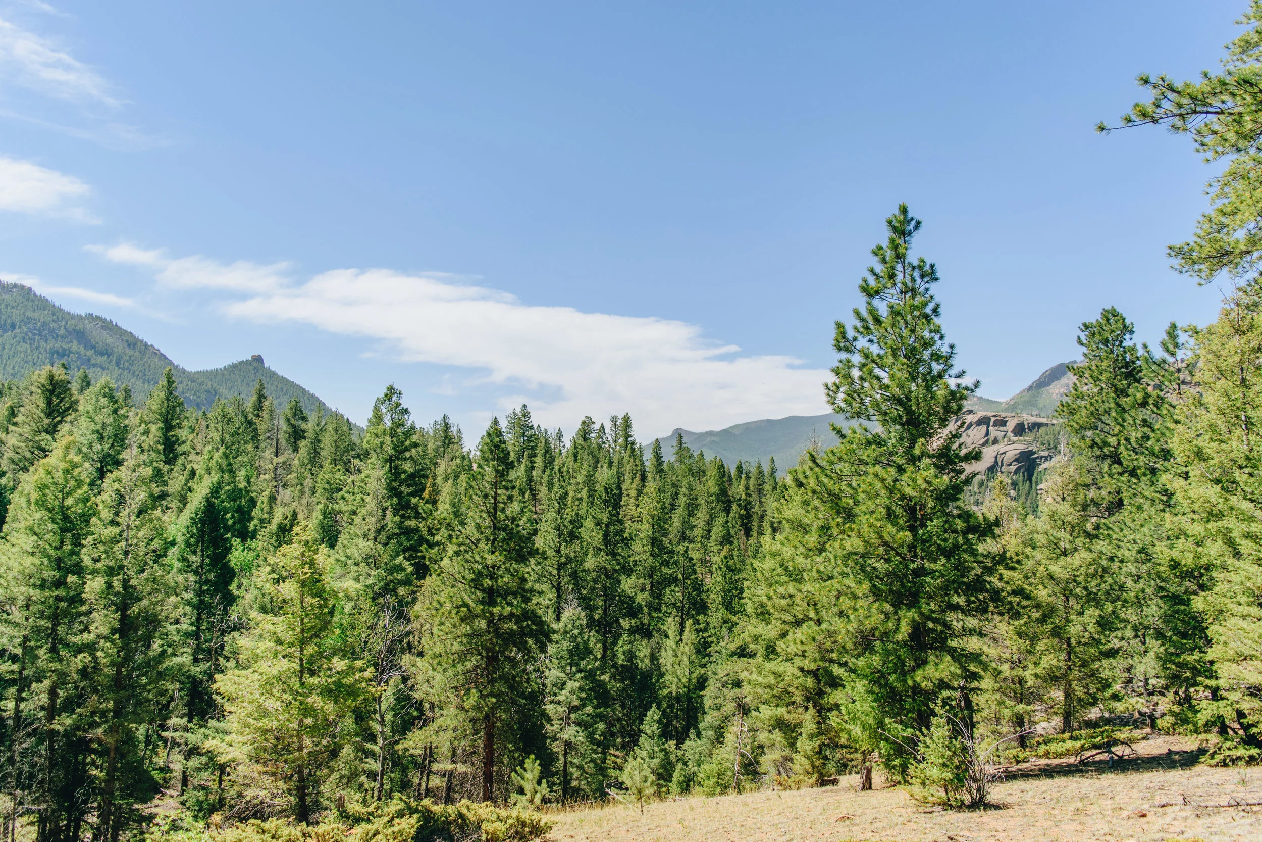 backpacking-46.jpg