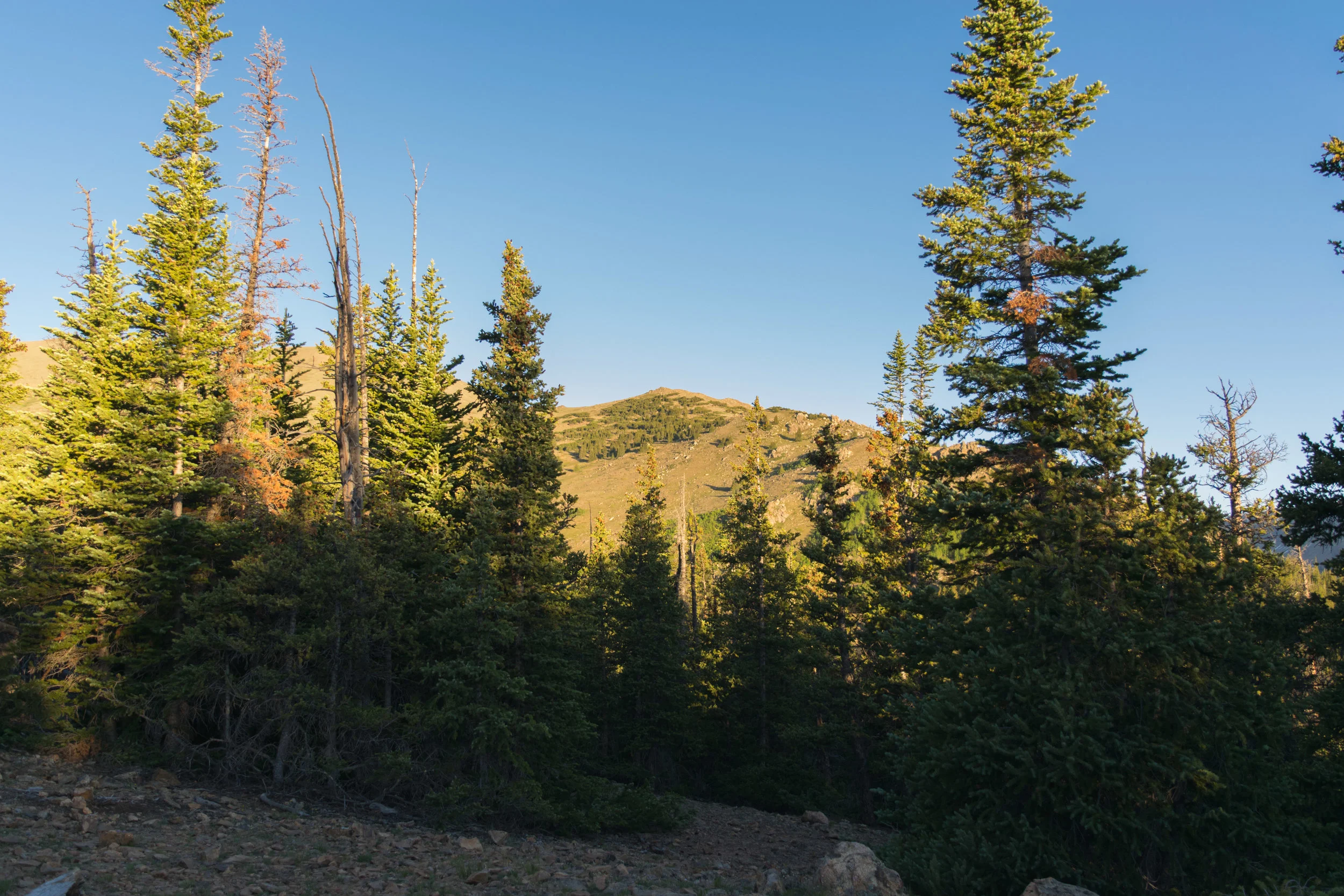 elbert-9.jpg