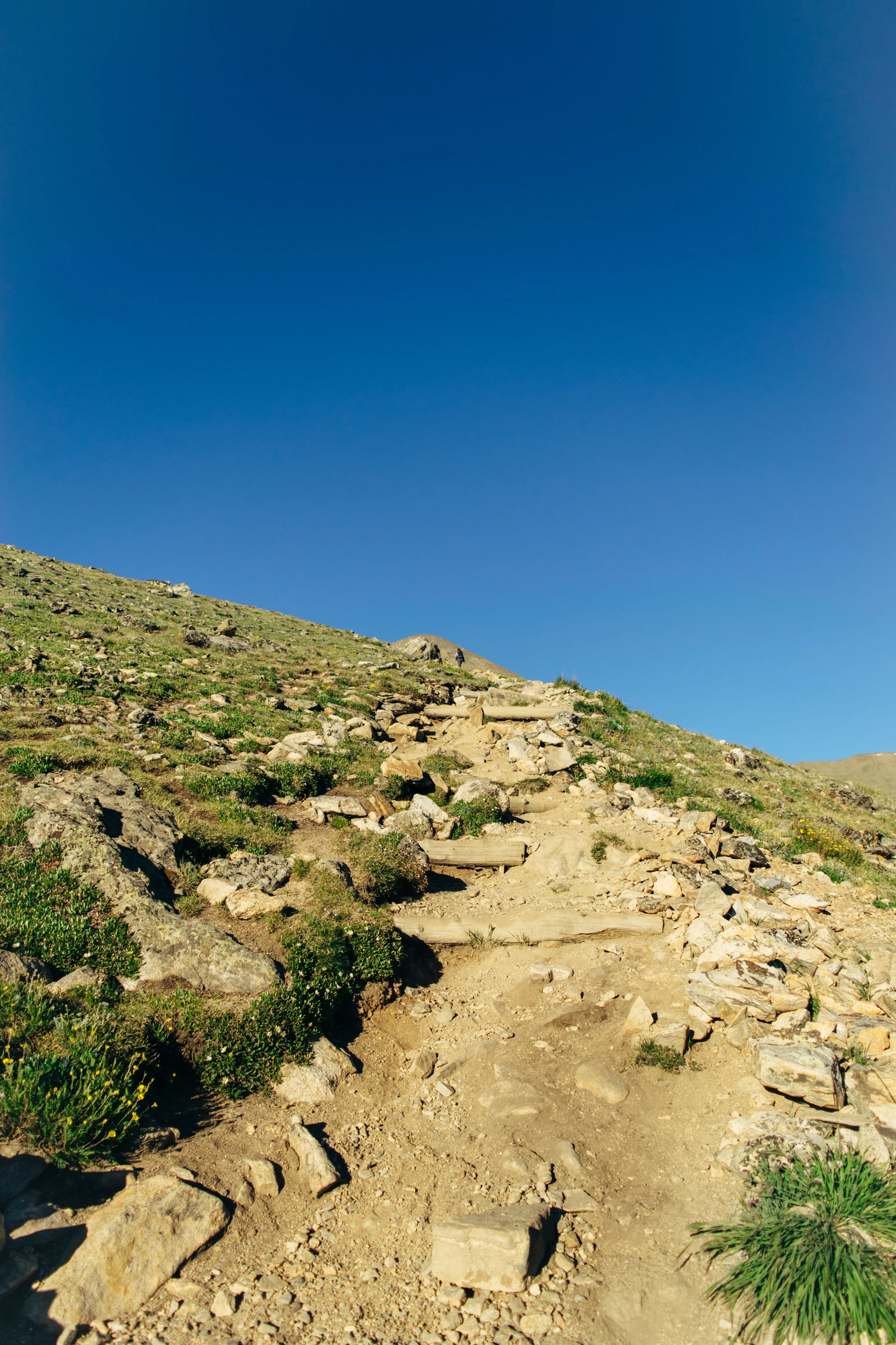 elbert-20.jpg