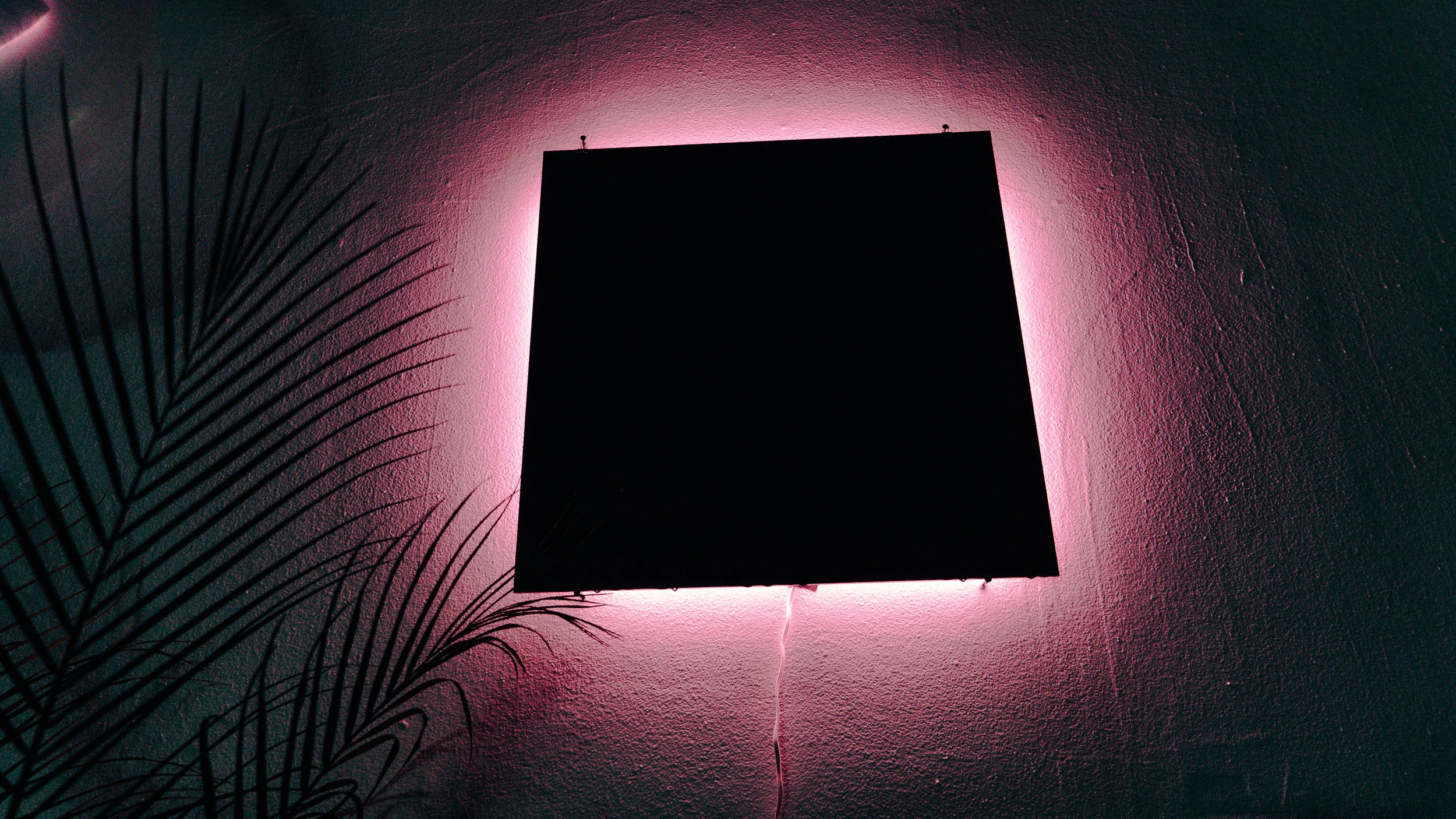 LUCID_DIGITAL_exports-28.jpg