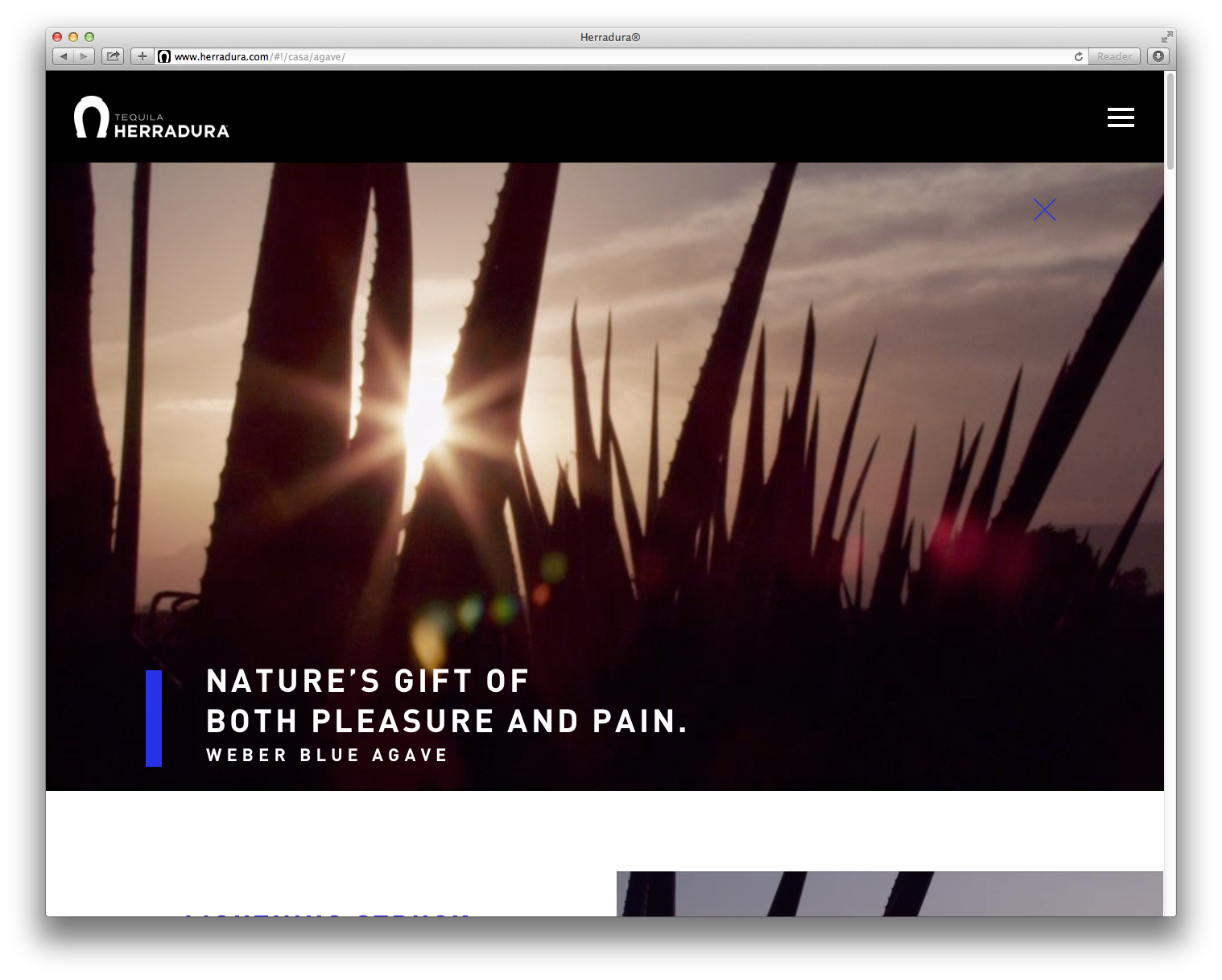 Screen Shot 2014-09-24 at 9.58.56 AM.png