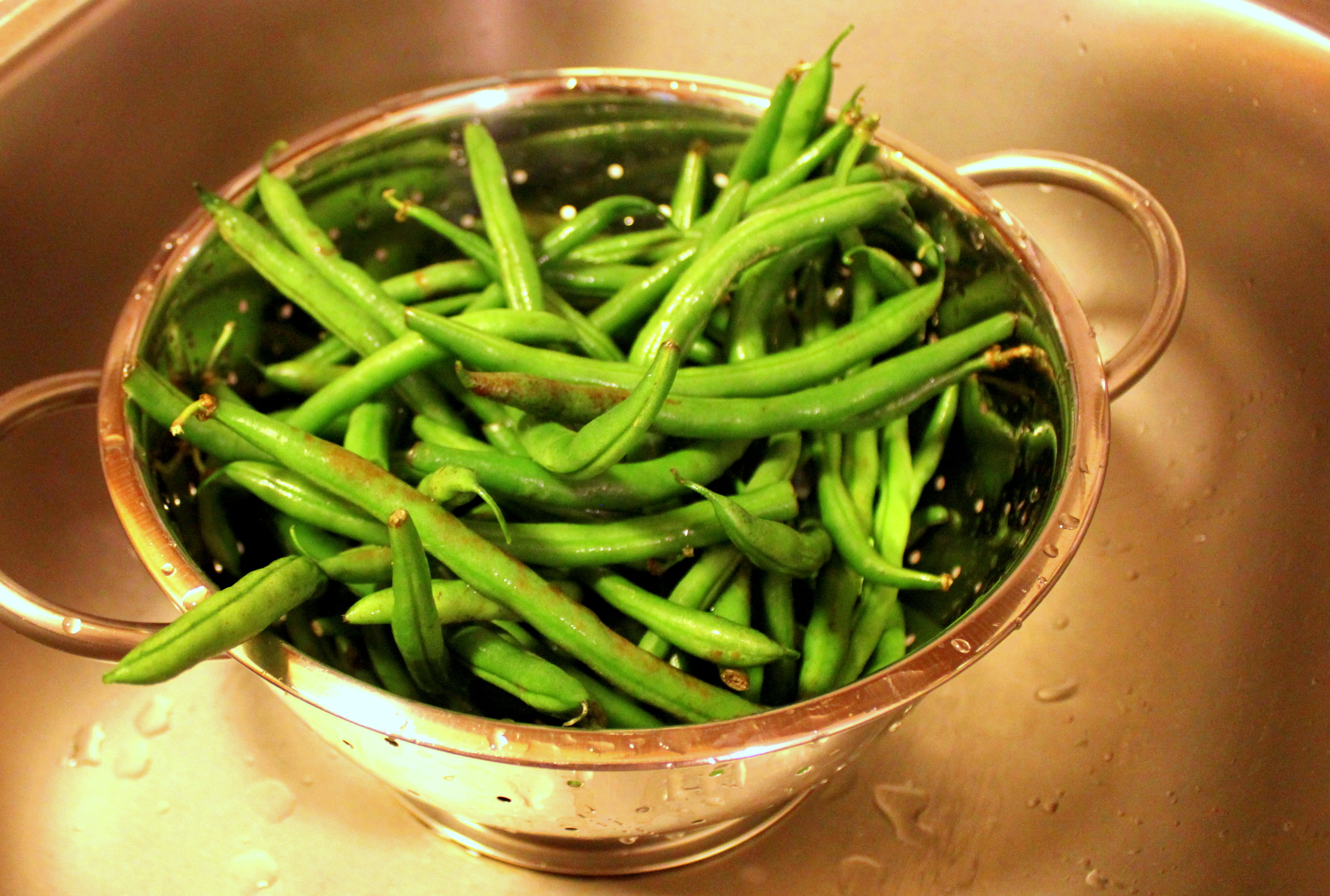 Sweet Sour Pickled Green Beans Peas Hoppiness By Ann Kent,Chameleon Petsmart
