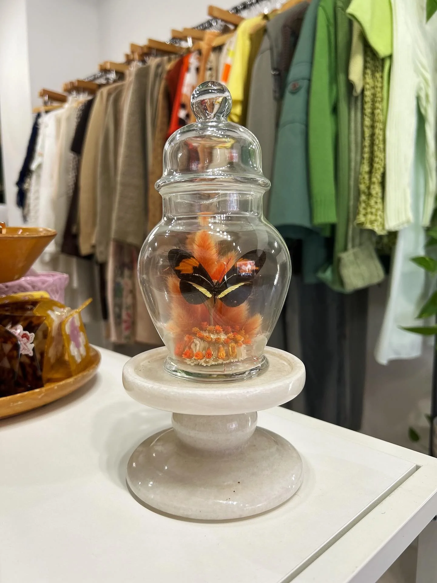 This week&rsquo;s new arrivals (including our amazing butterfly displays) are unique and perfect for any occasion.✨🦋