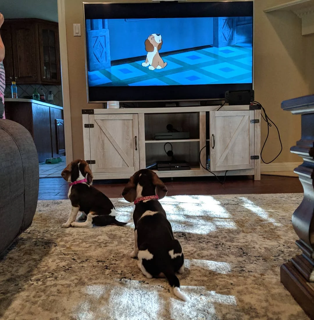 Dot and Allie - May 2018