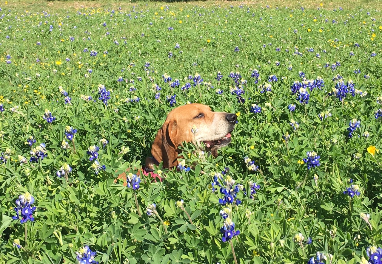 Ruby Mar 2019