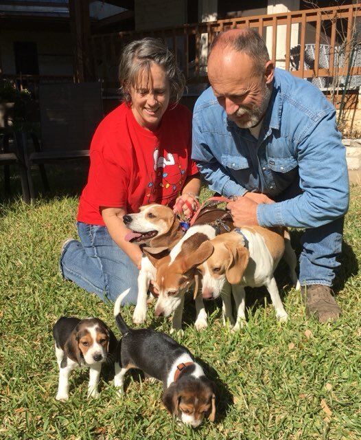 About Us Quail Ridge Pocket Beagles