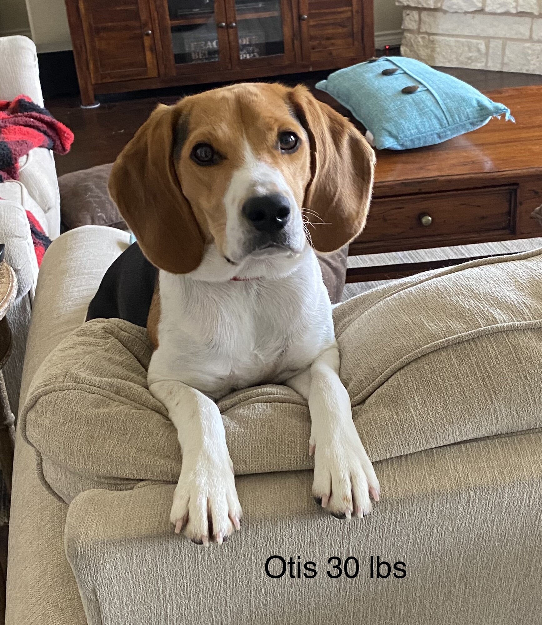 Otis 30lbs