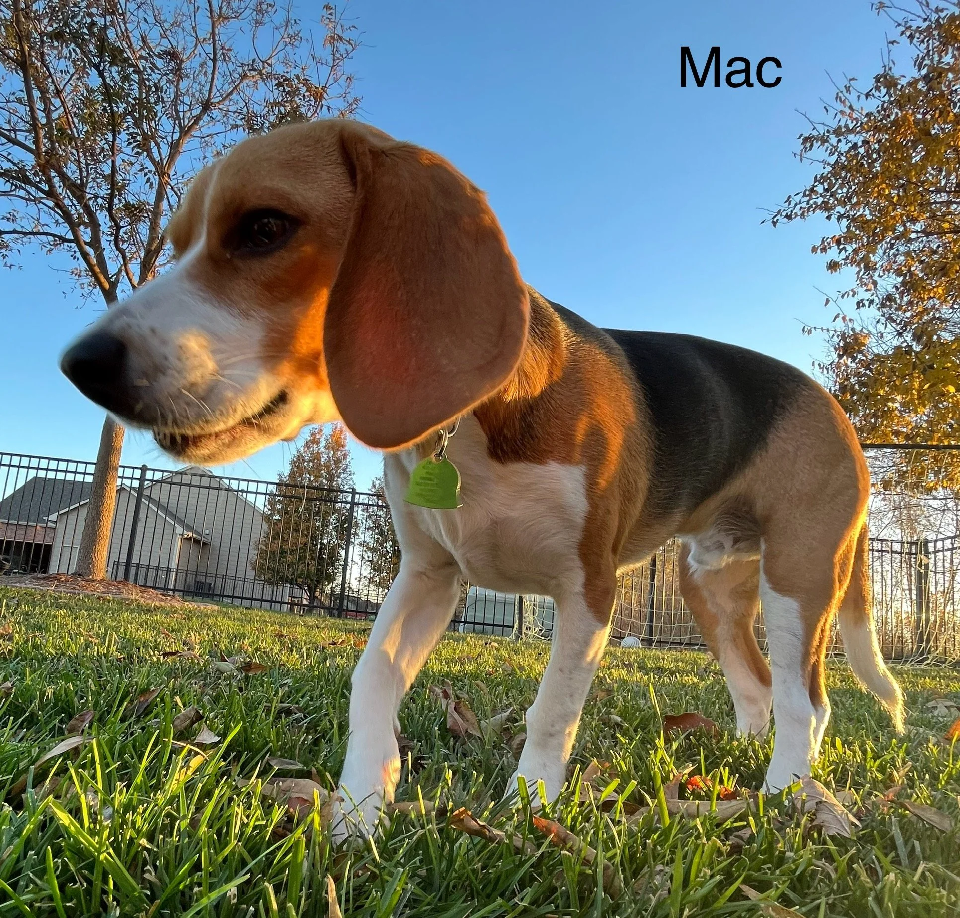 IMG_8209.jpeg