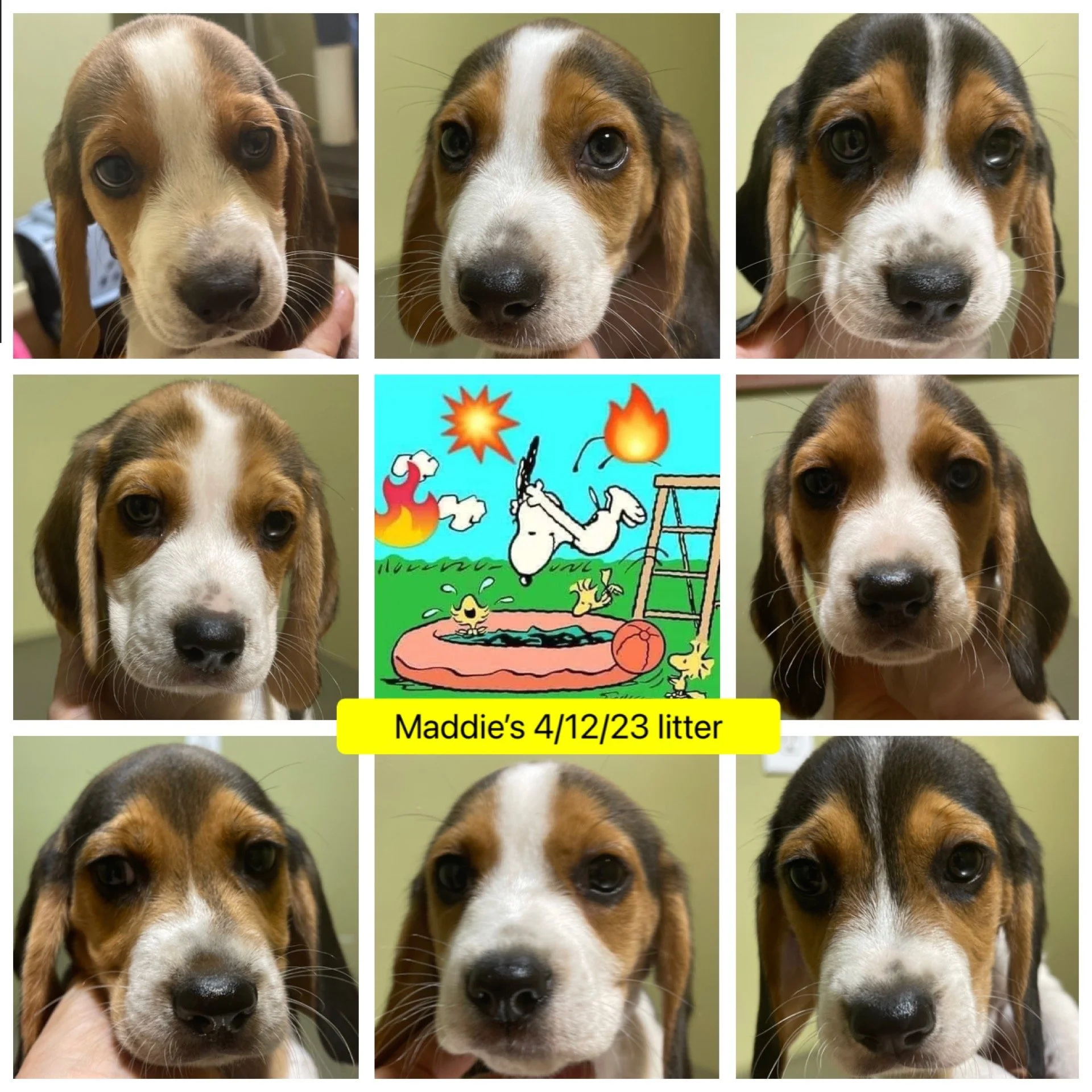 7qk collage_7014.JPG