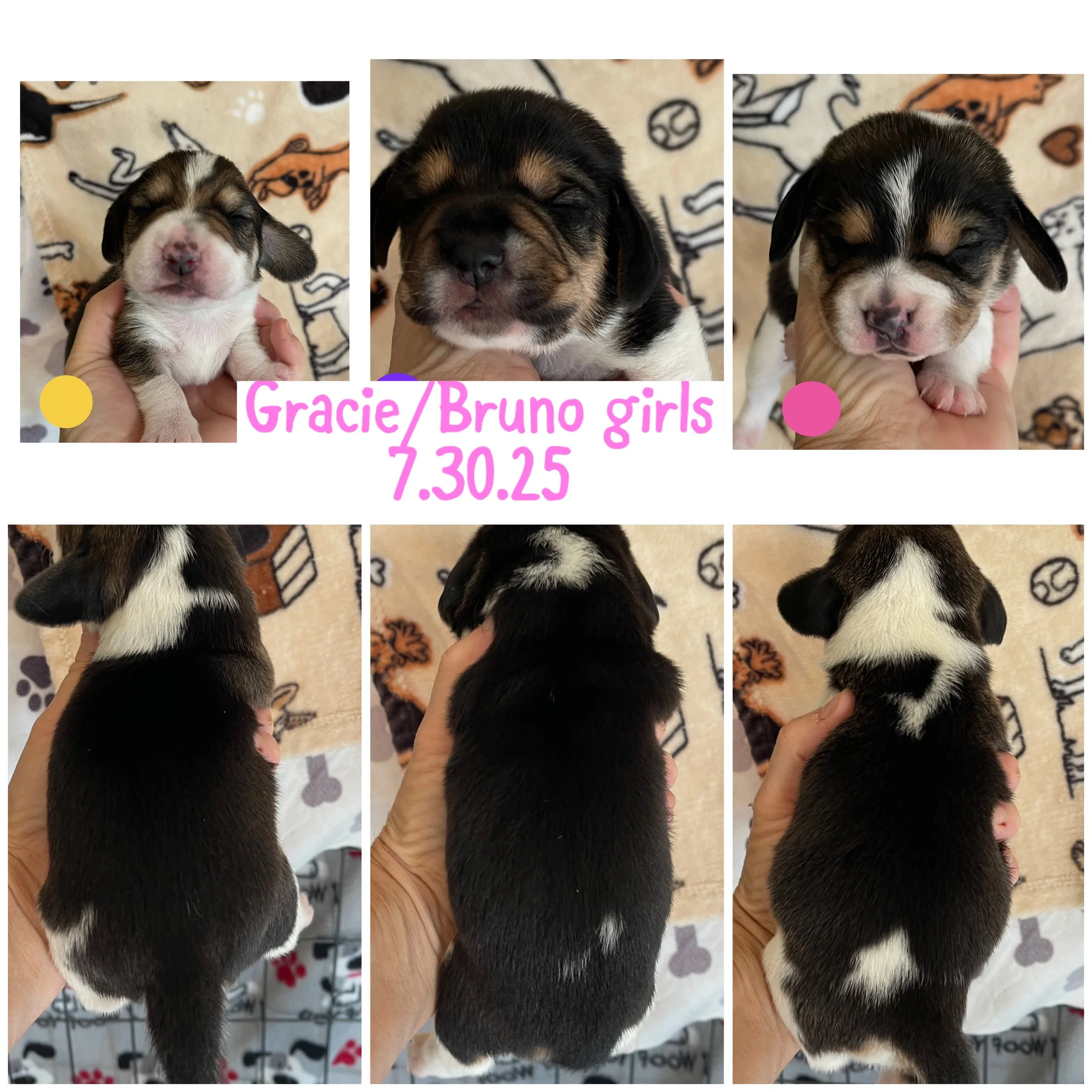 girl collage.JPG