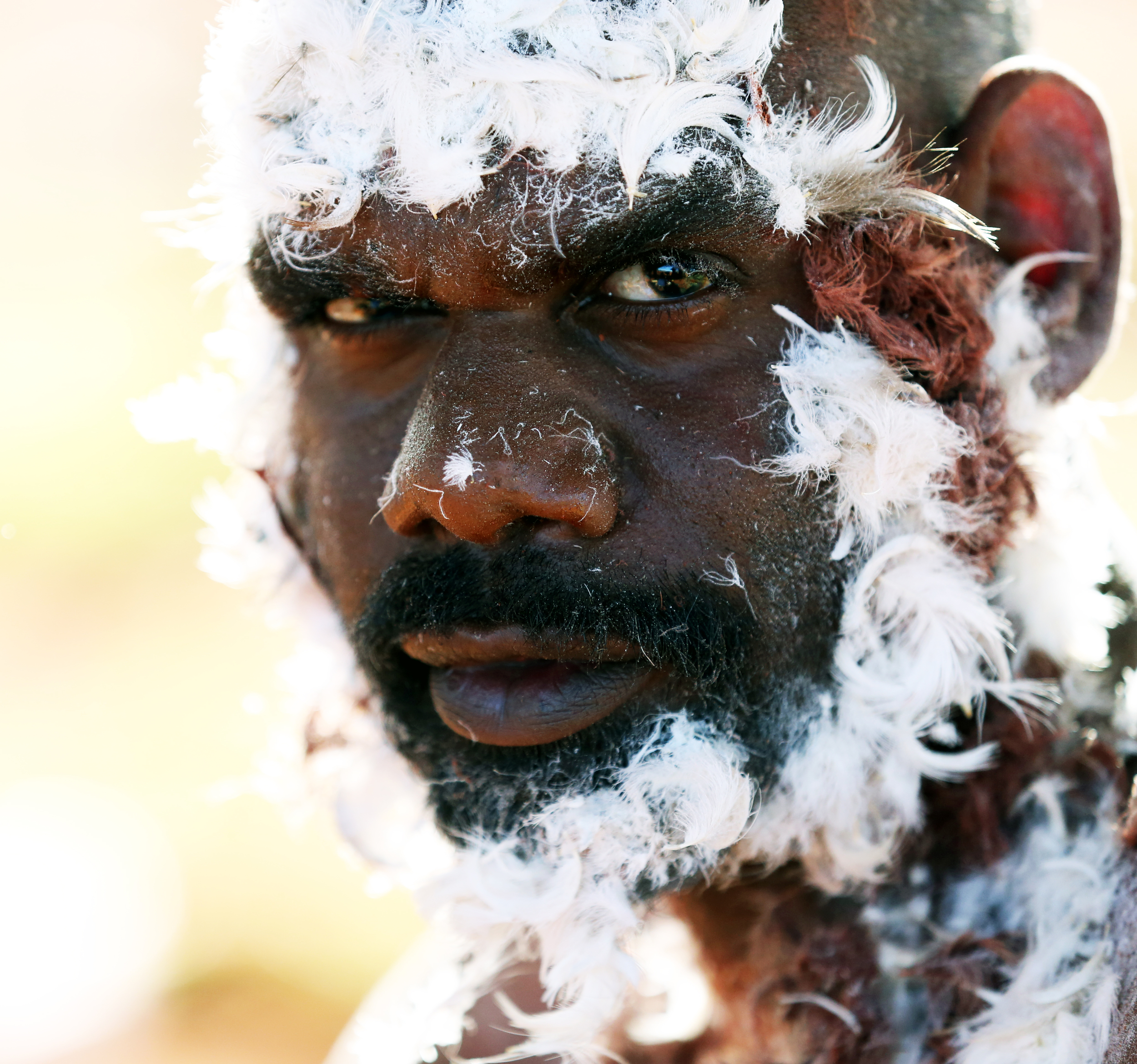 Desert Pea Media - Ampilatwatja NT Alyawarr Sessions Desert Sevenz Fly Back Home emu dreaming ceremony dance traditional film.jpg