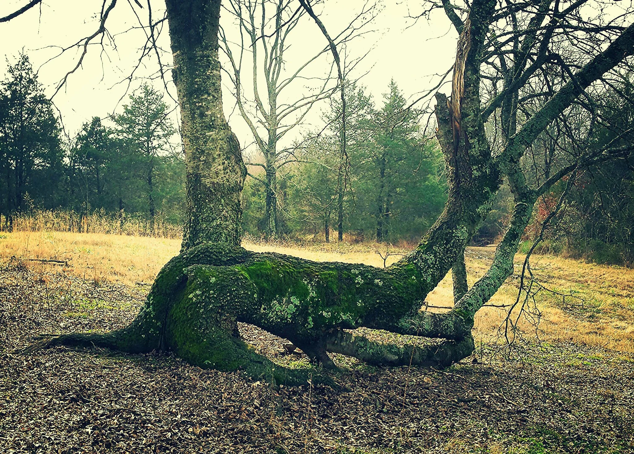 Dispatches from the Journey:  Signs and Markers