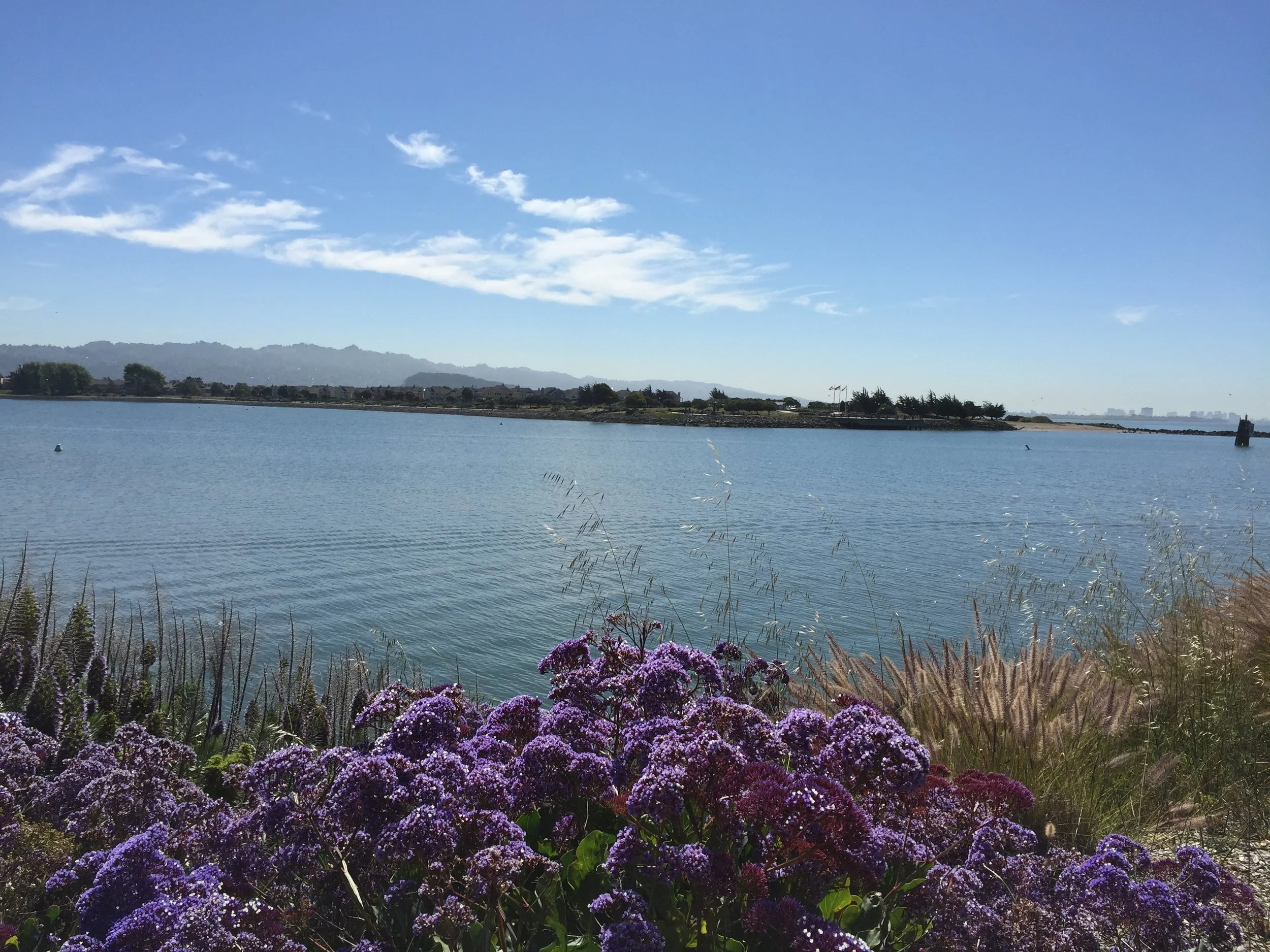 Sittin' On The Dock By The Bay