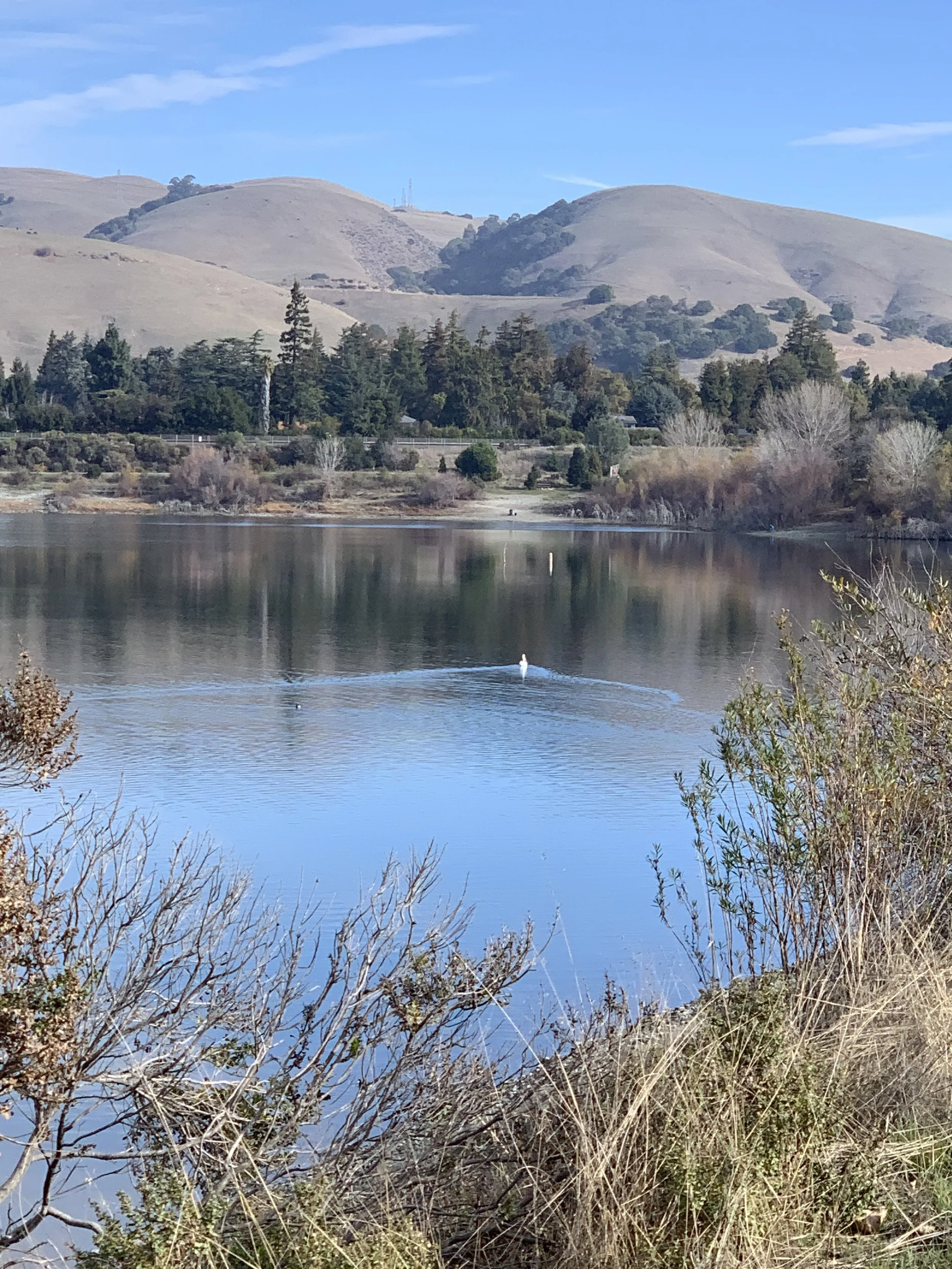 Ever Going to Change