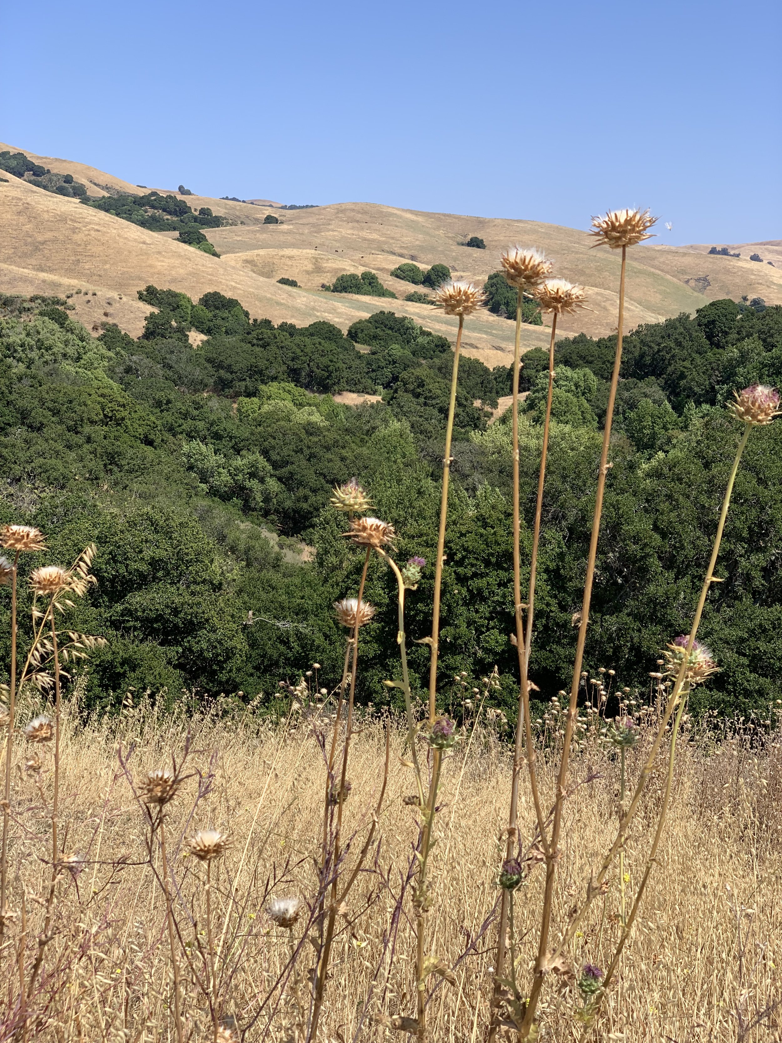  Willing to Receive a Blessing?