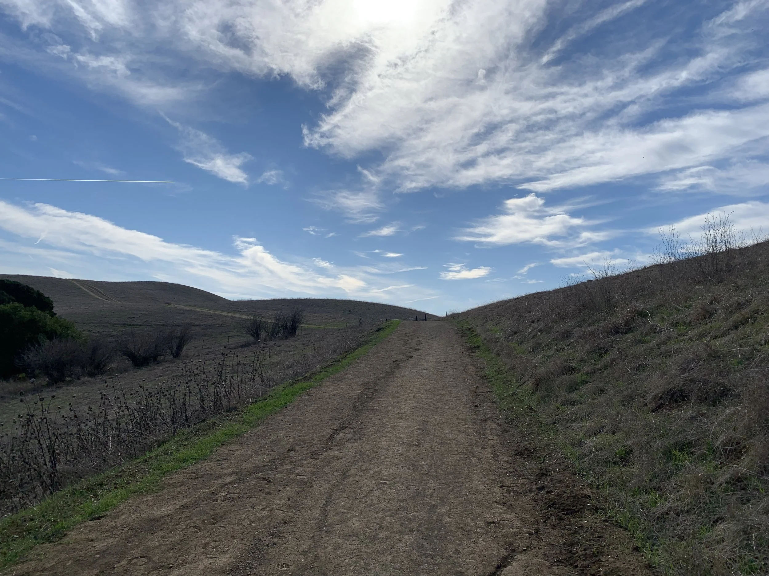 Along the Way