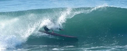 Why I Love Pintails