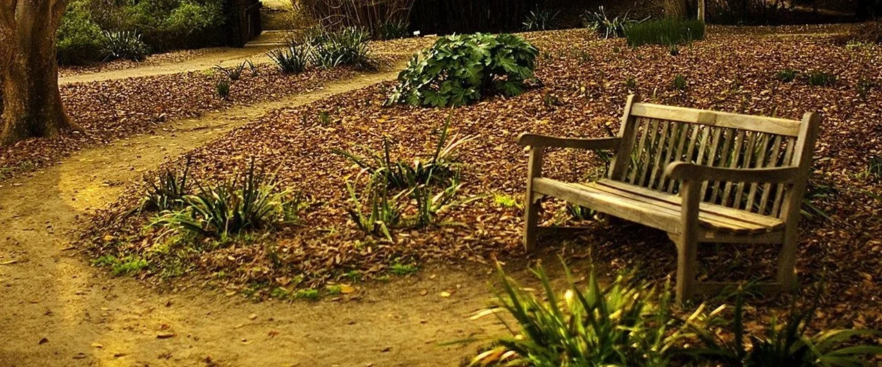 6865513-park-bench cropped.jpg