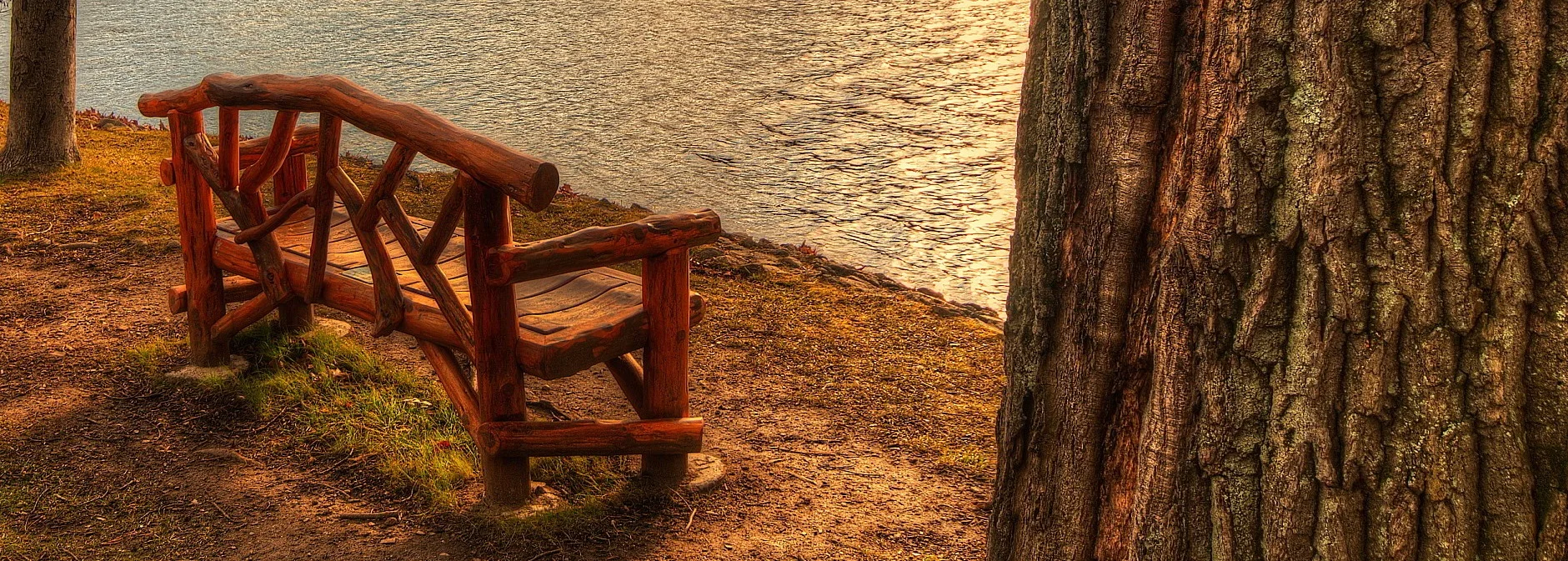 lakeside park bench cropped.jpg