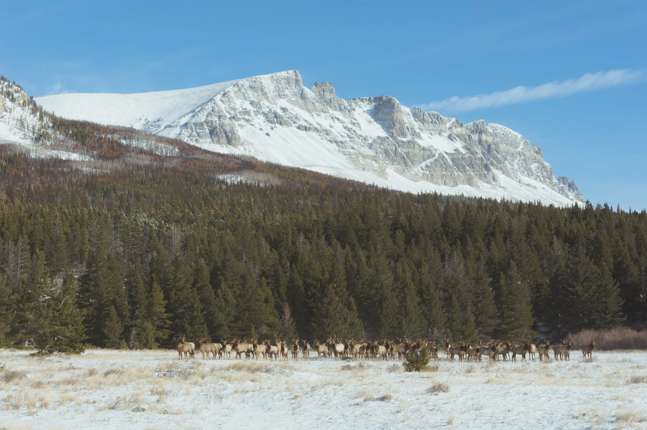 DSC_1197-2.jpg