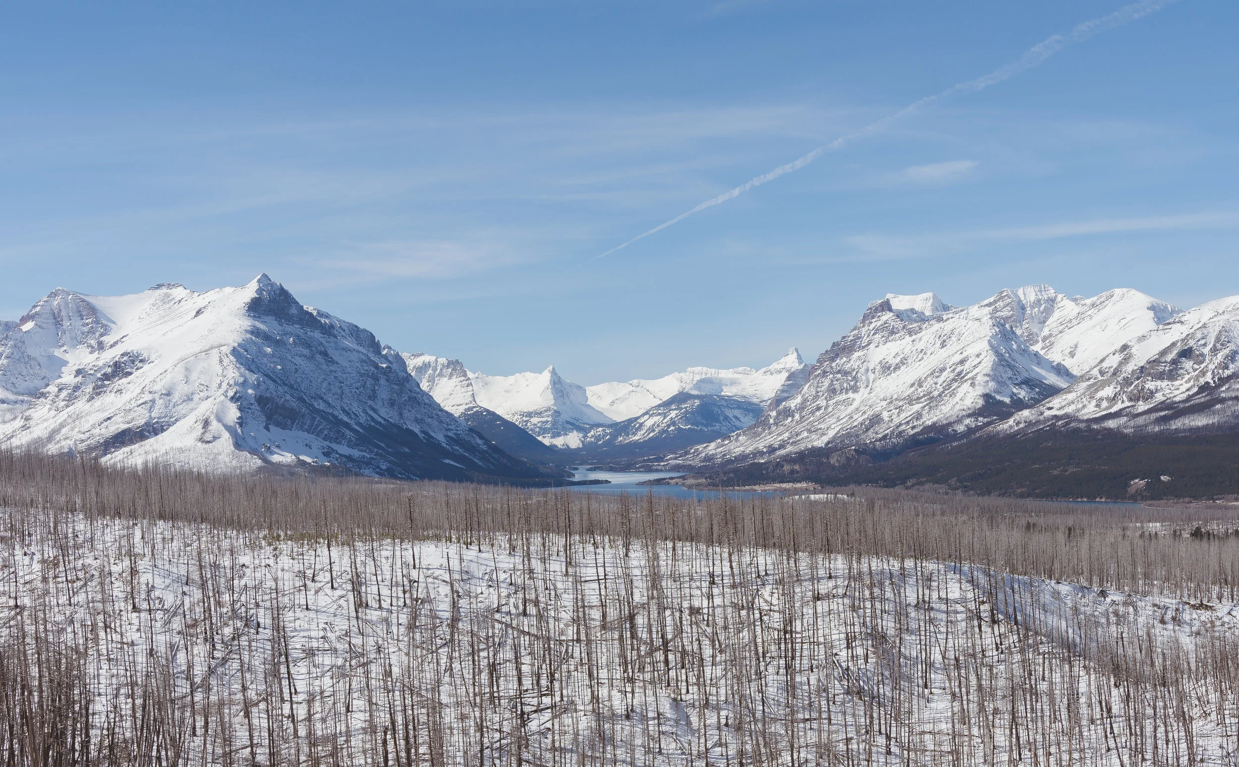 DSC_1273-2.jpg