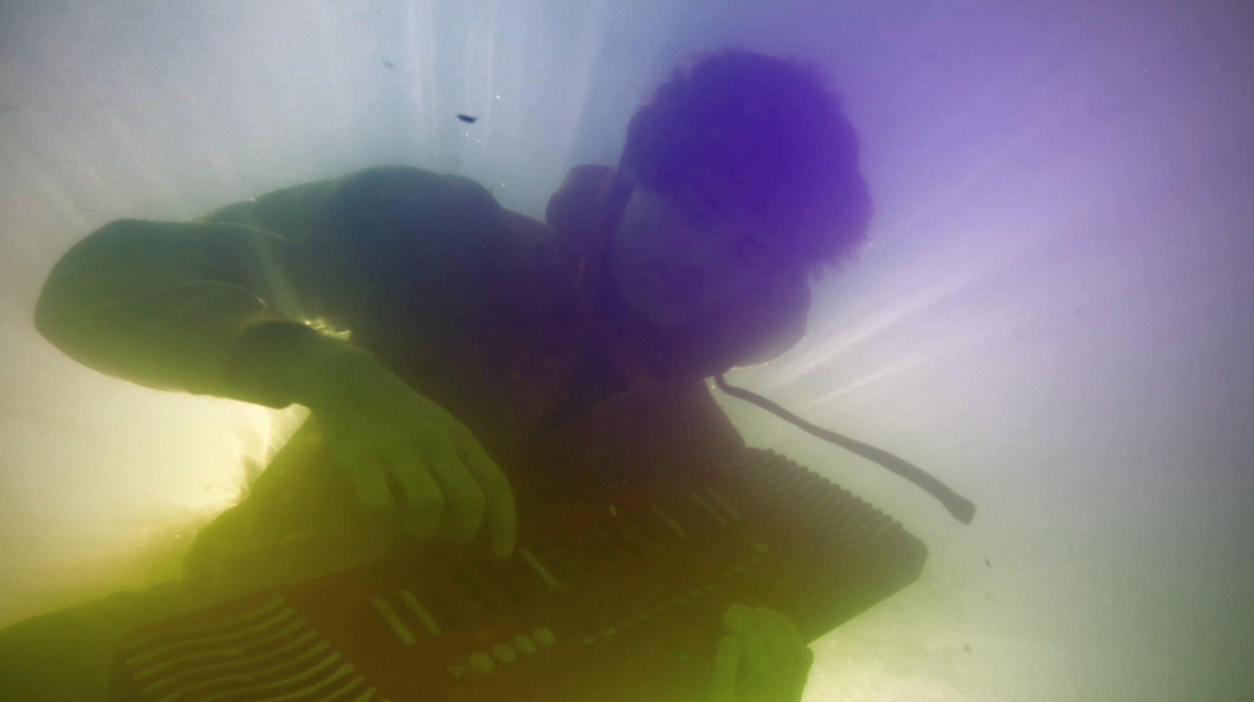 Screen Shot 2020-02-26 at 1.14.47 PM.png