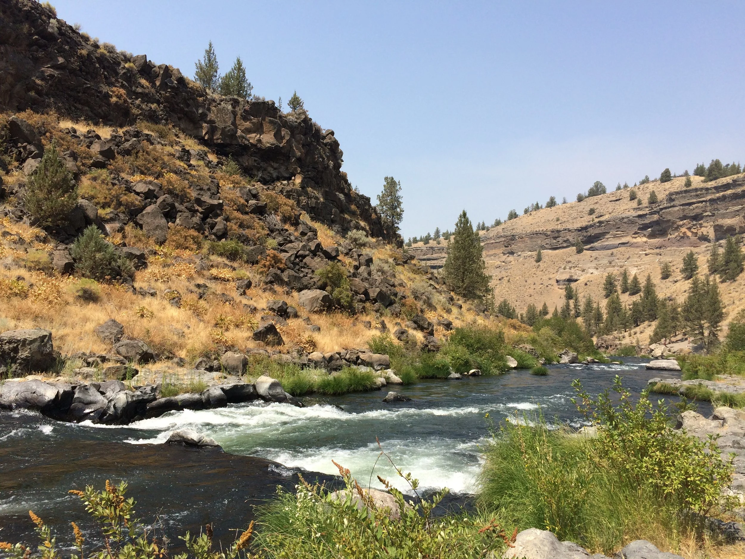 Painted with Memories