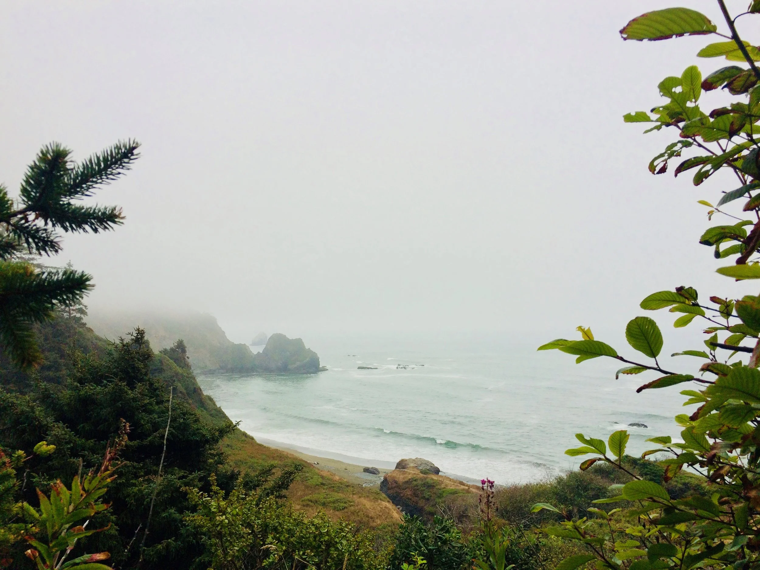 The Where in the Why