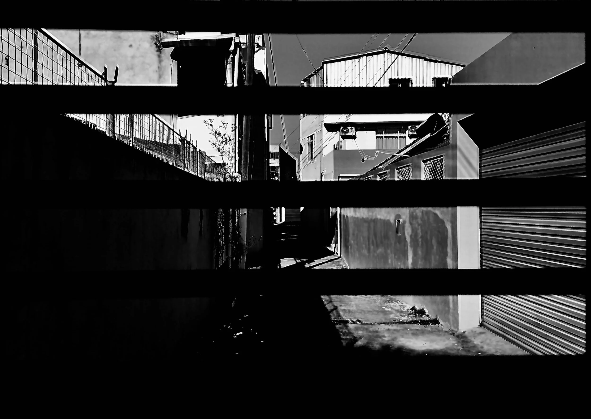 Waiting for the madness