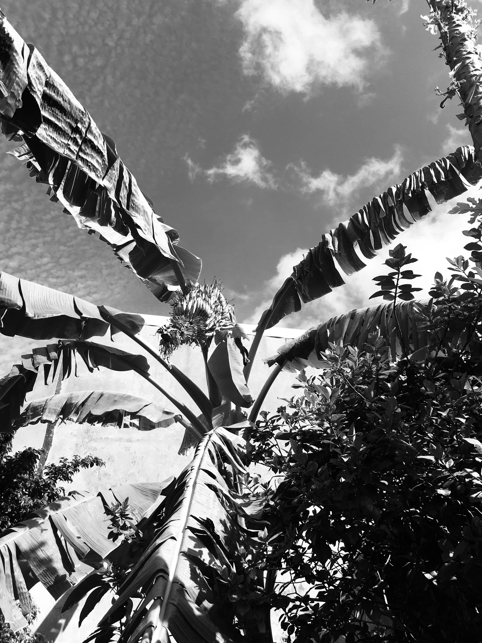 Guilt, the sum of all parts