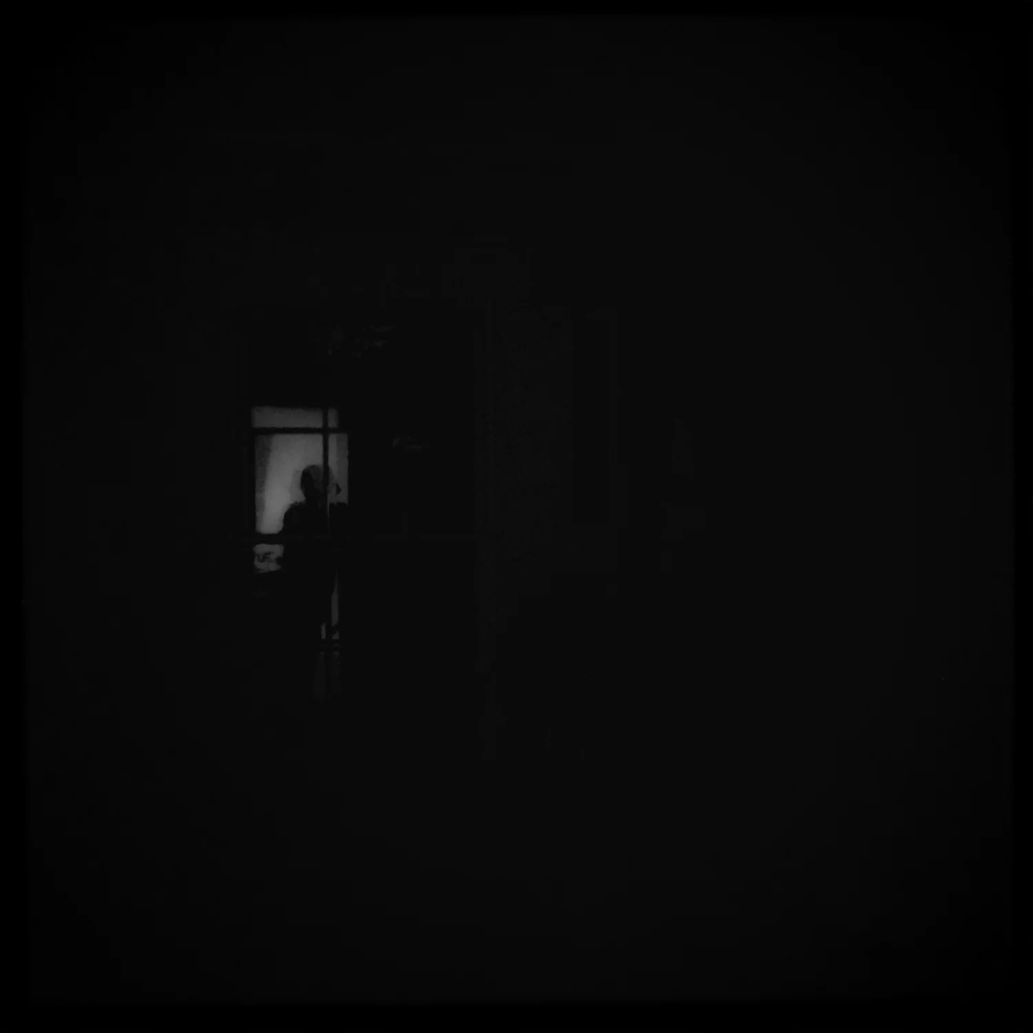 Mallonee_LeeAnne_far_window.jpg