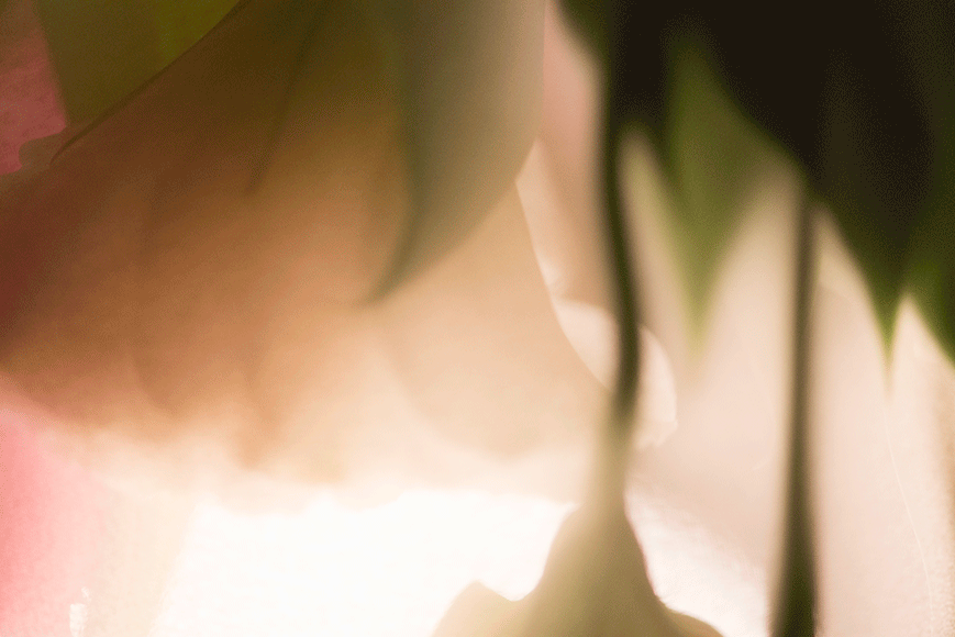 haze-3.png
