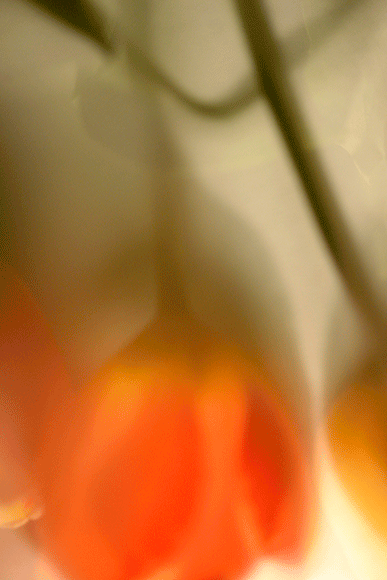 haze-4.png