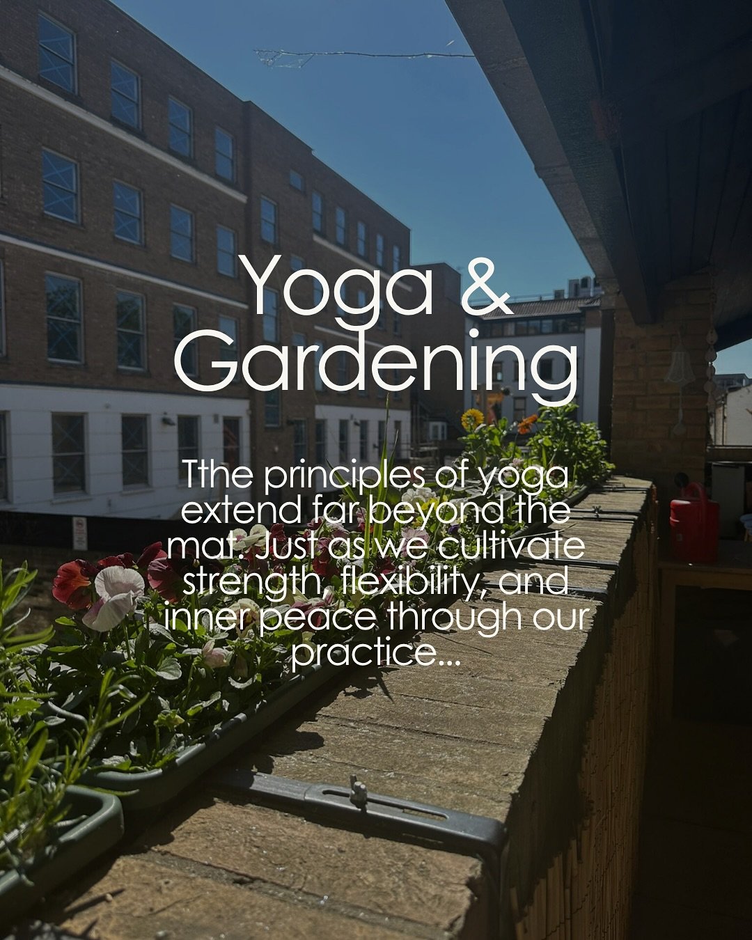 We&rsquo;ve been busy lately, adding a splash of colour and life to our little outdoor space! 🌸 Huge thanks to our wonderful volunteers and staff (you know who you are! 😉) for their green thumbs in planting and care in looking after this space.

It