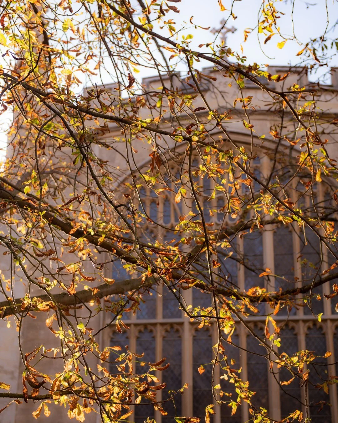 Happy Autumn Equinox! The leaves are turning, and the air is feeling a bit crisp. The perfect time to embrace the change of season. The equinox, or 'equal night', reminds us that balance in life, and in yoga practice is key... An invitation to transi