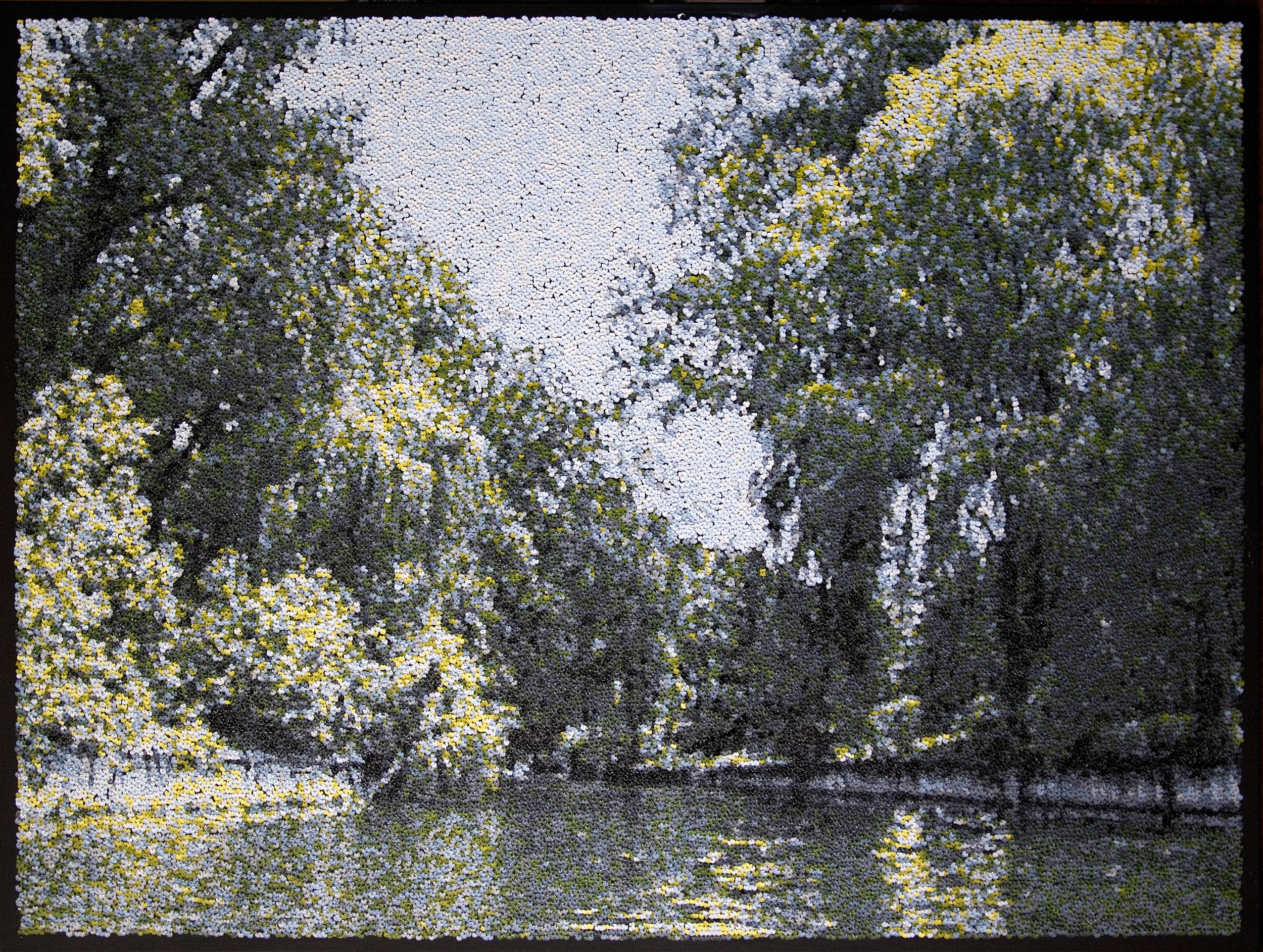 Willow01-01.jpg